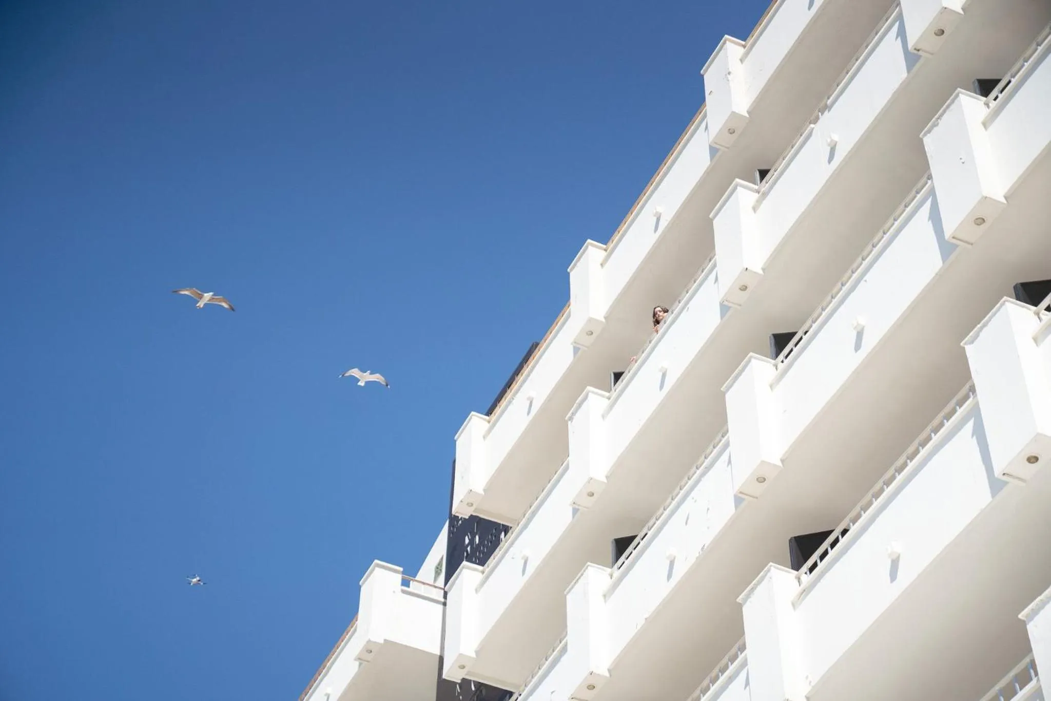 Property building in FAY Victoria Beach