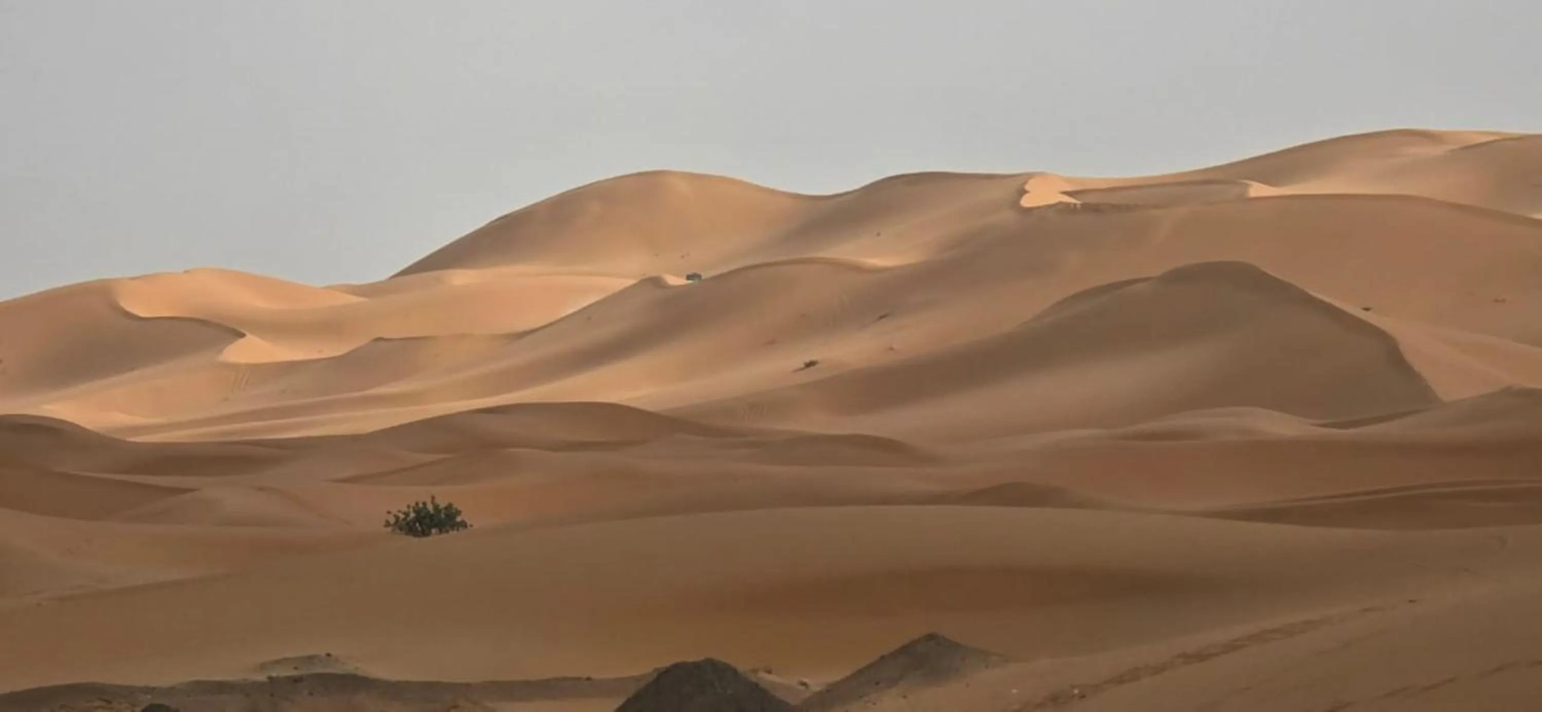 View (from property/room) in Yakout Merzouga Luxury Camp
