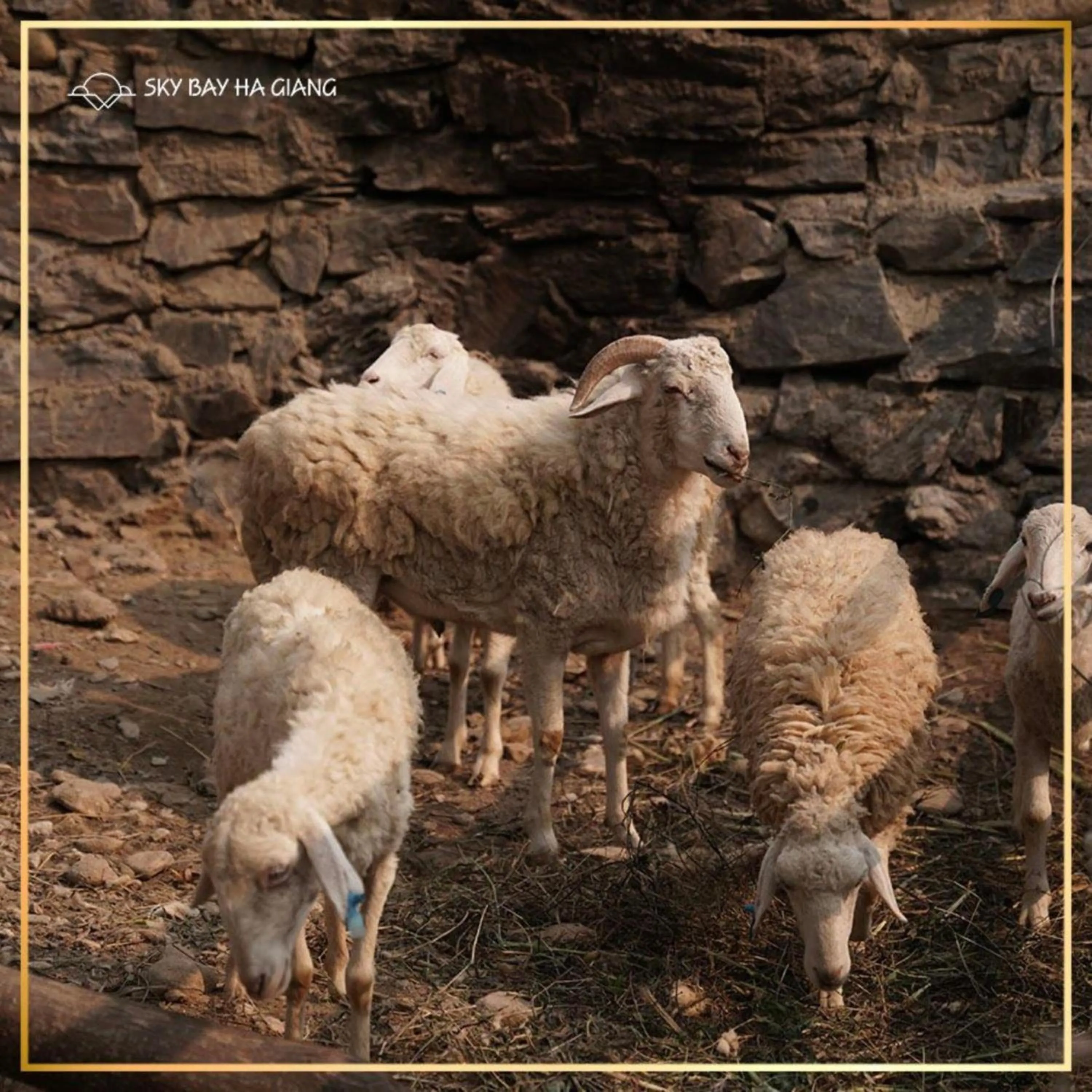 Property building in Sky Bay Lodge