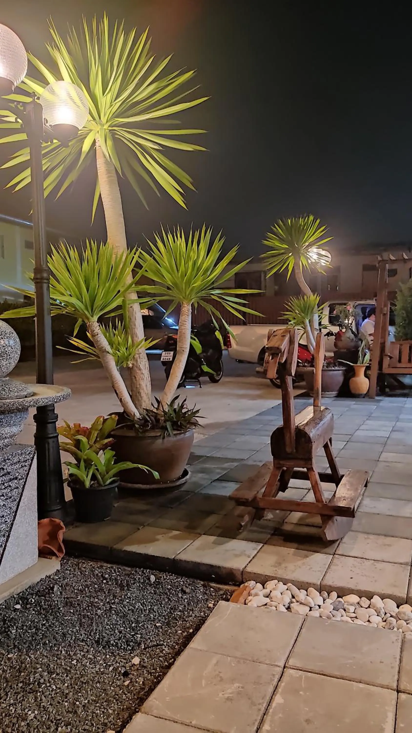 Garden view in 66 Apartment