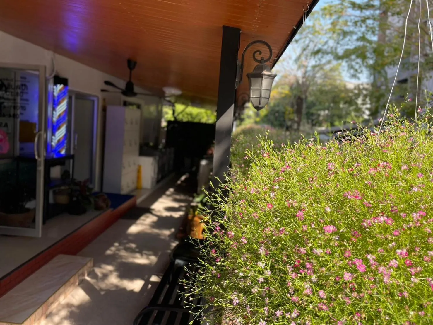 Garden view in 66 Apartment