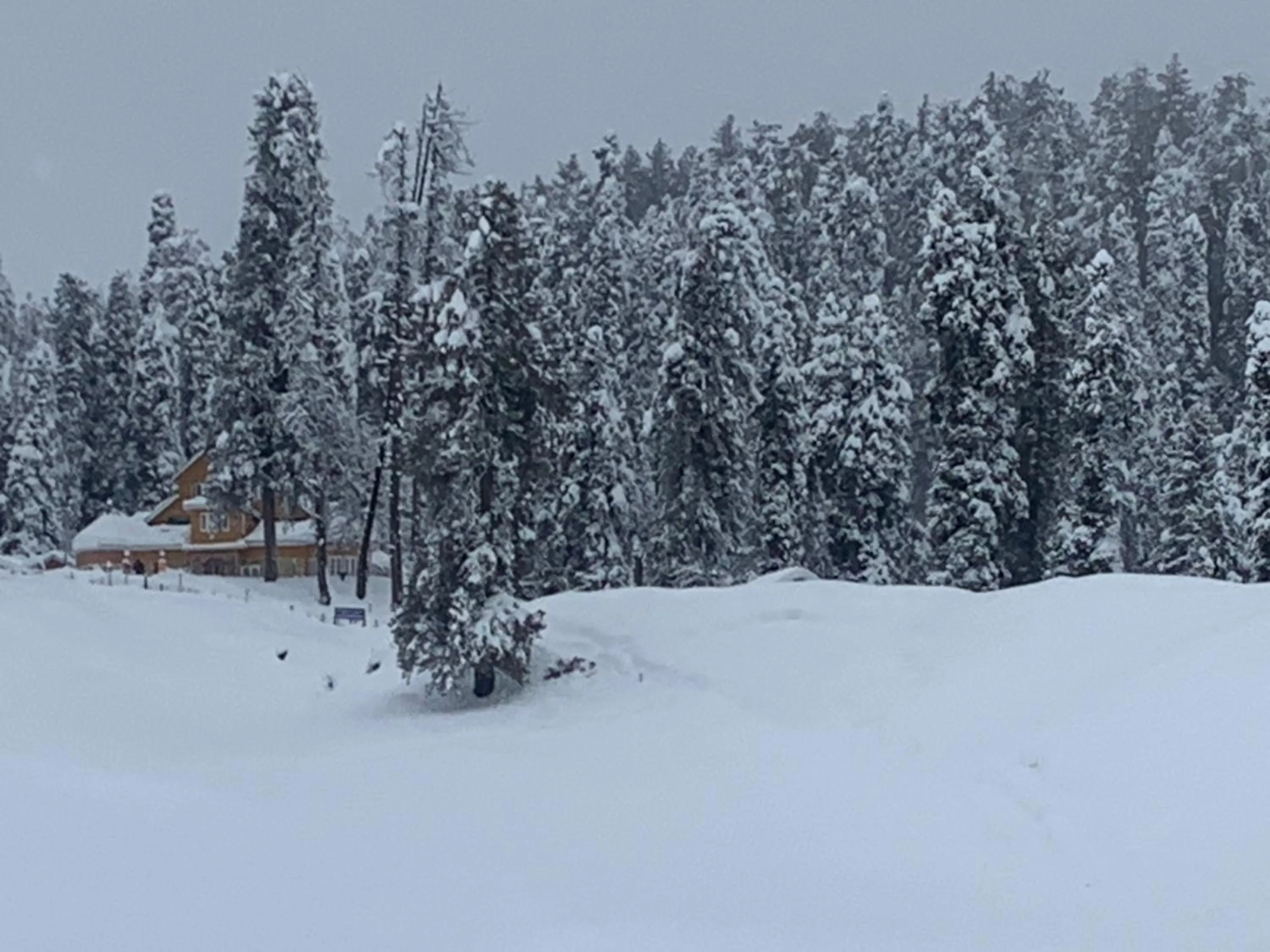 Day in Gulmarg Ski Hill Resort