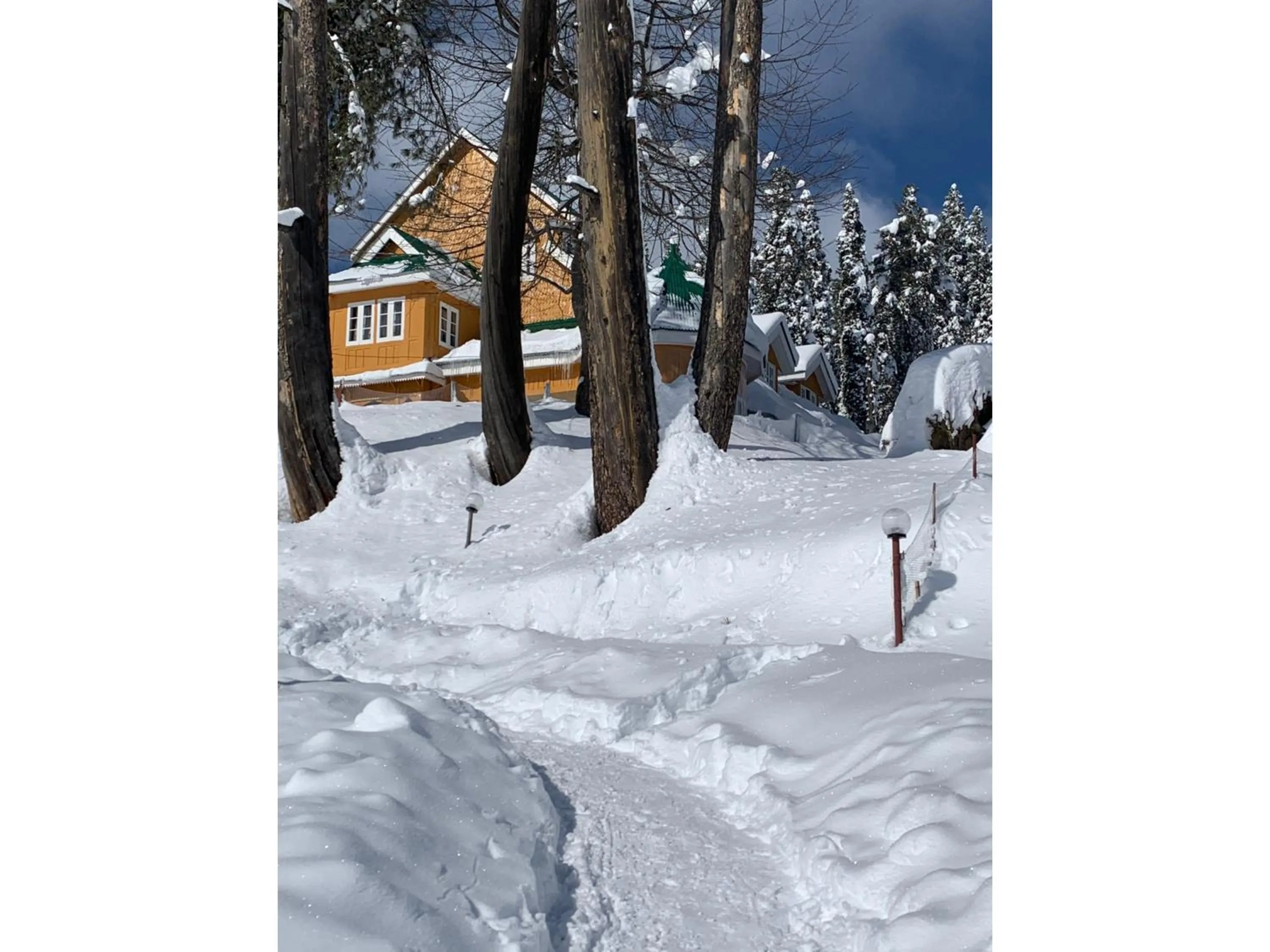 Day in Gulmarg Ski Hill Resort