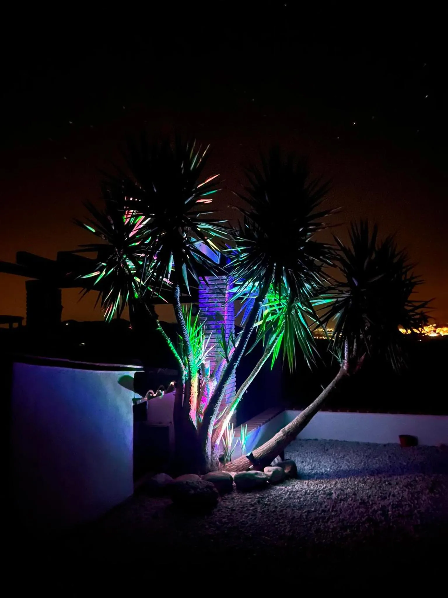 Garden in B&B Casa Loré D'or