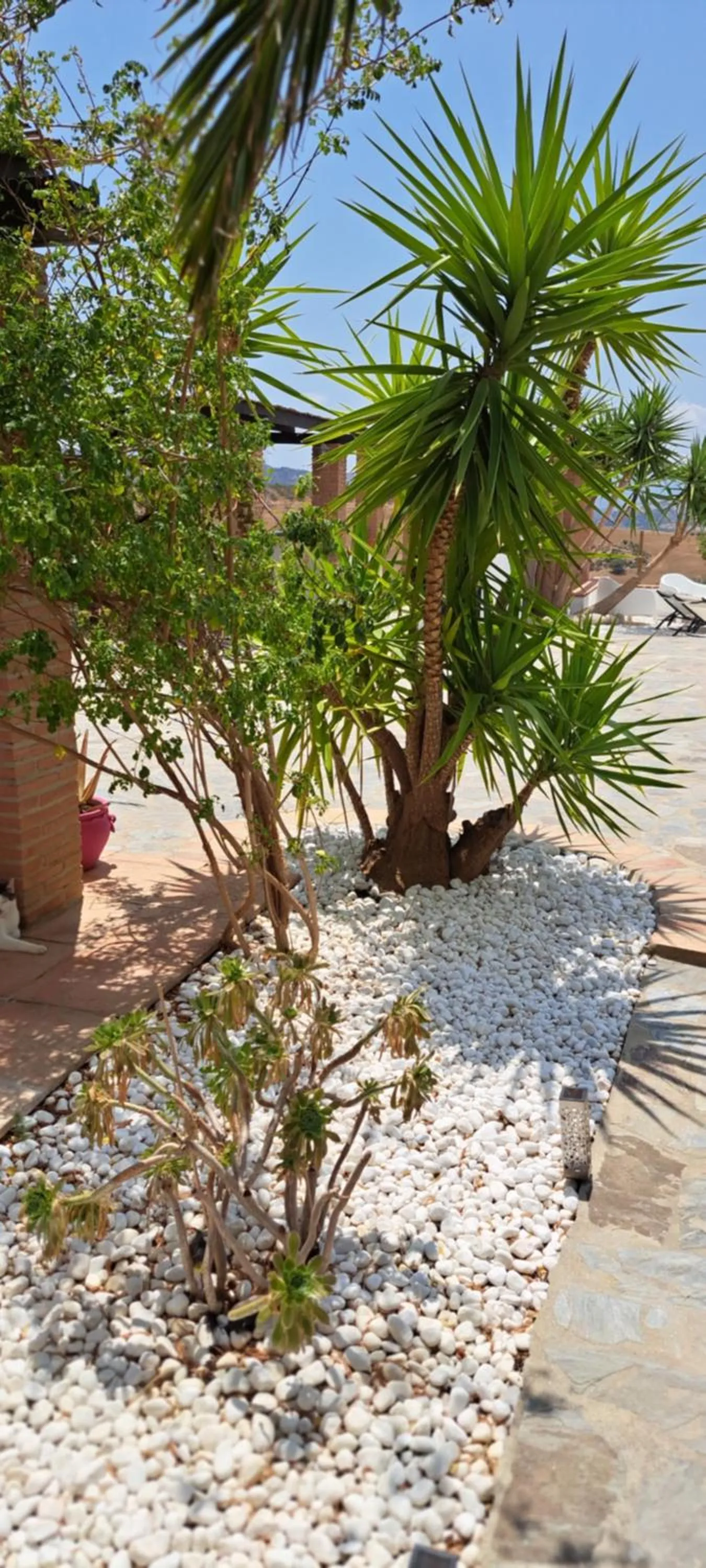 Property building, Other Animals in B&B Casa Loré D'or