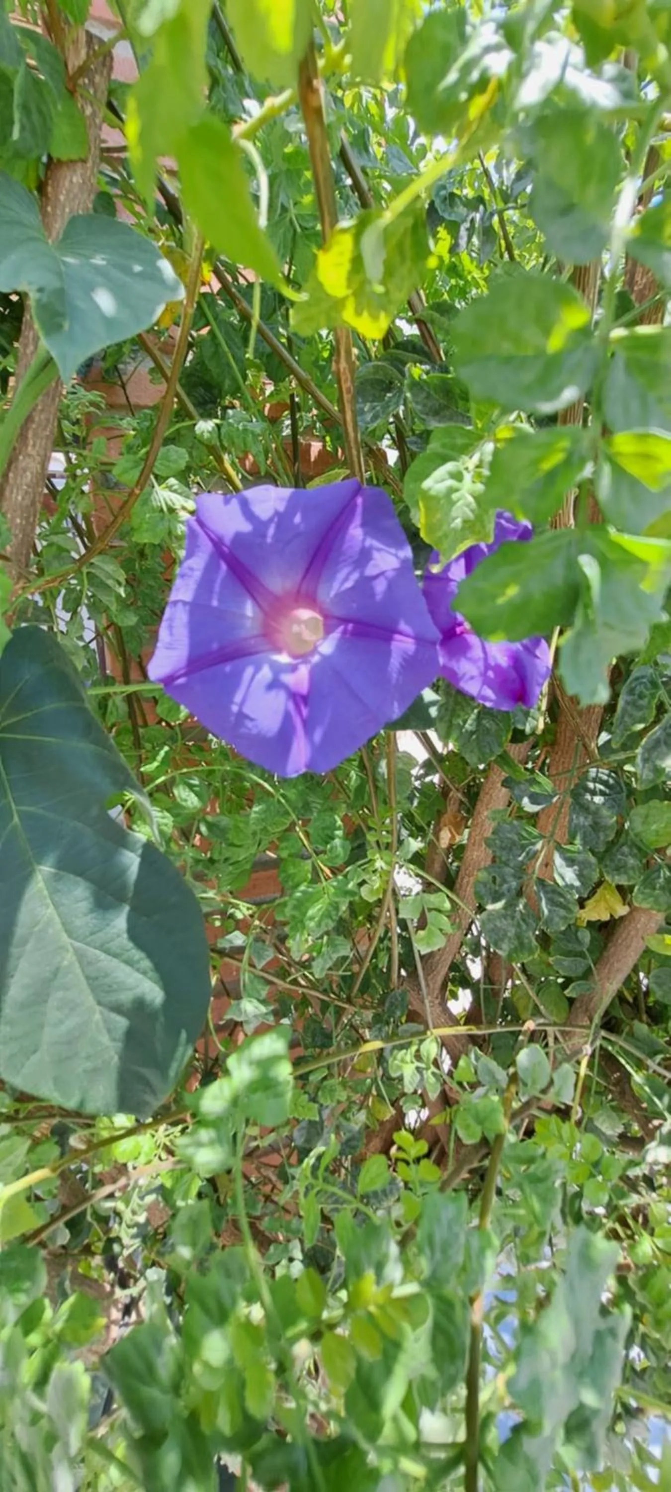 Property building in B&B Casa Loré D'or
