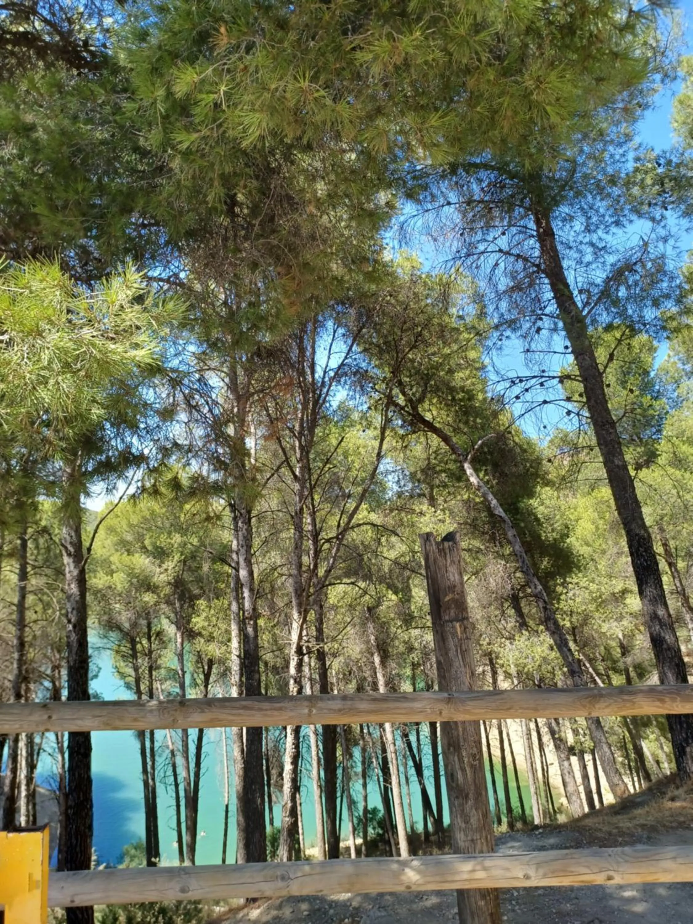 Nearby landmark in B&B Casa Loré D'or