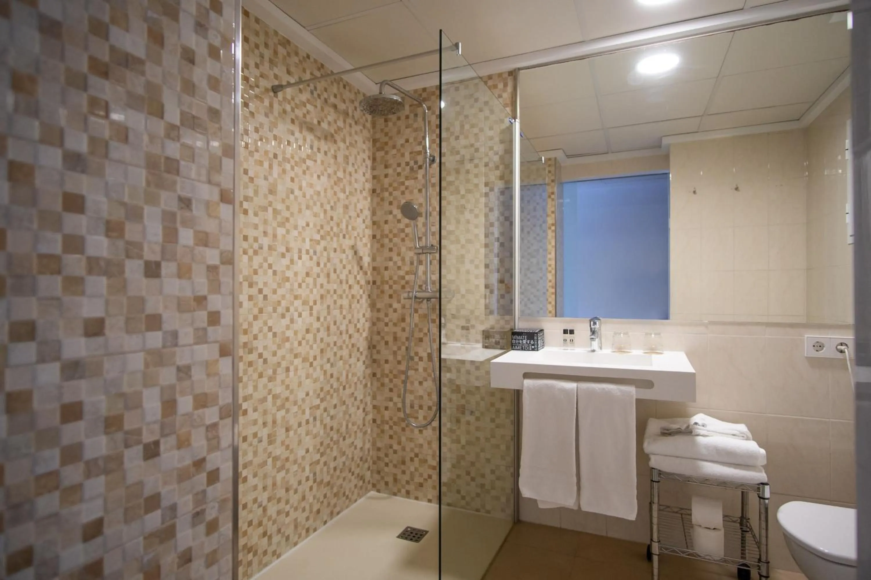 Bathroom in Hotel Cap Negret
