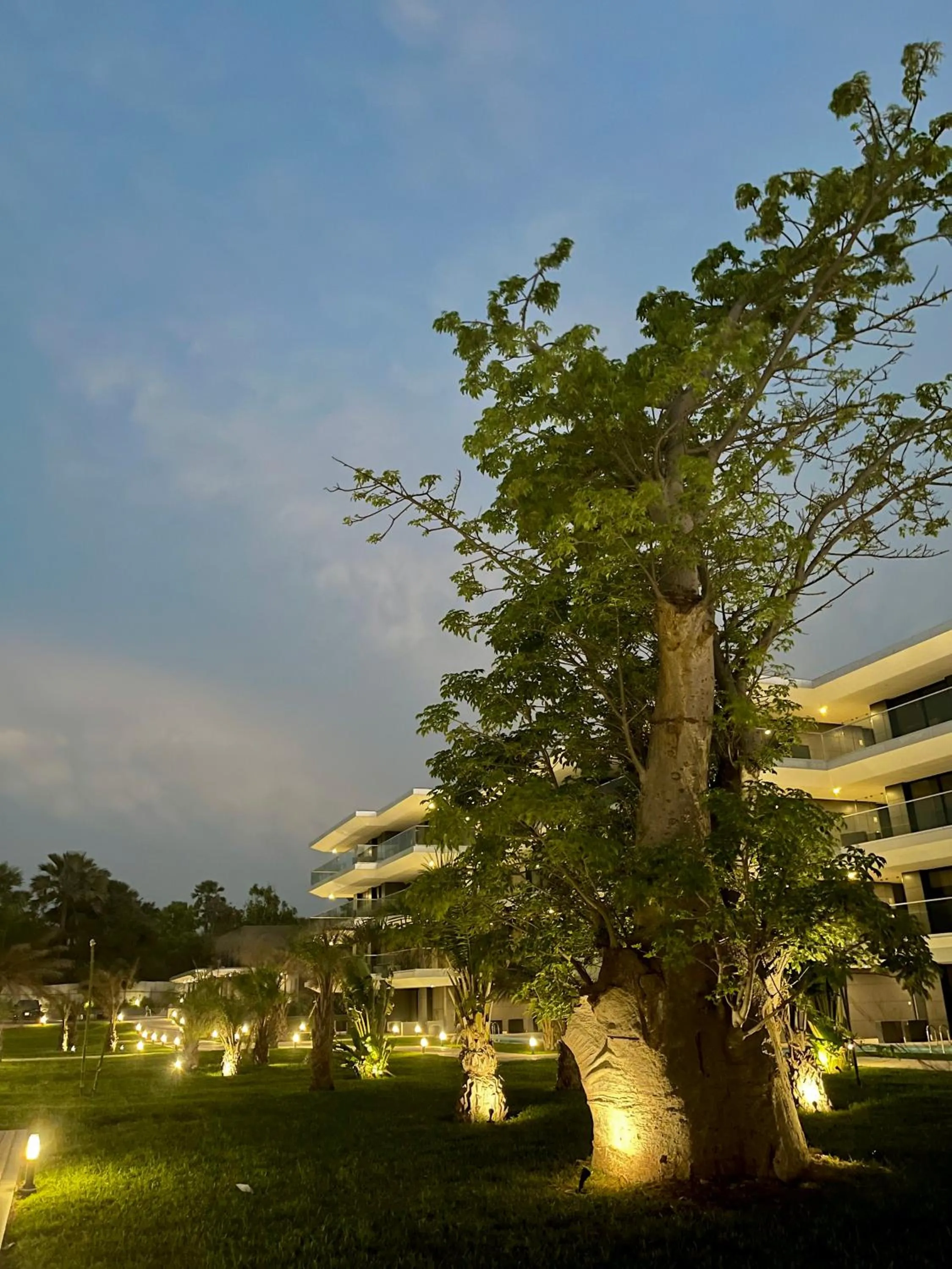 Garden in Kololi Sands Apartments