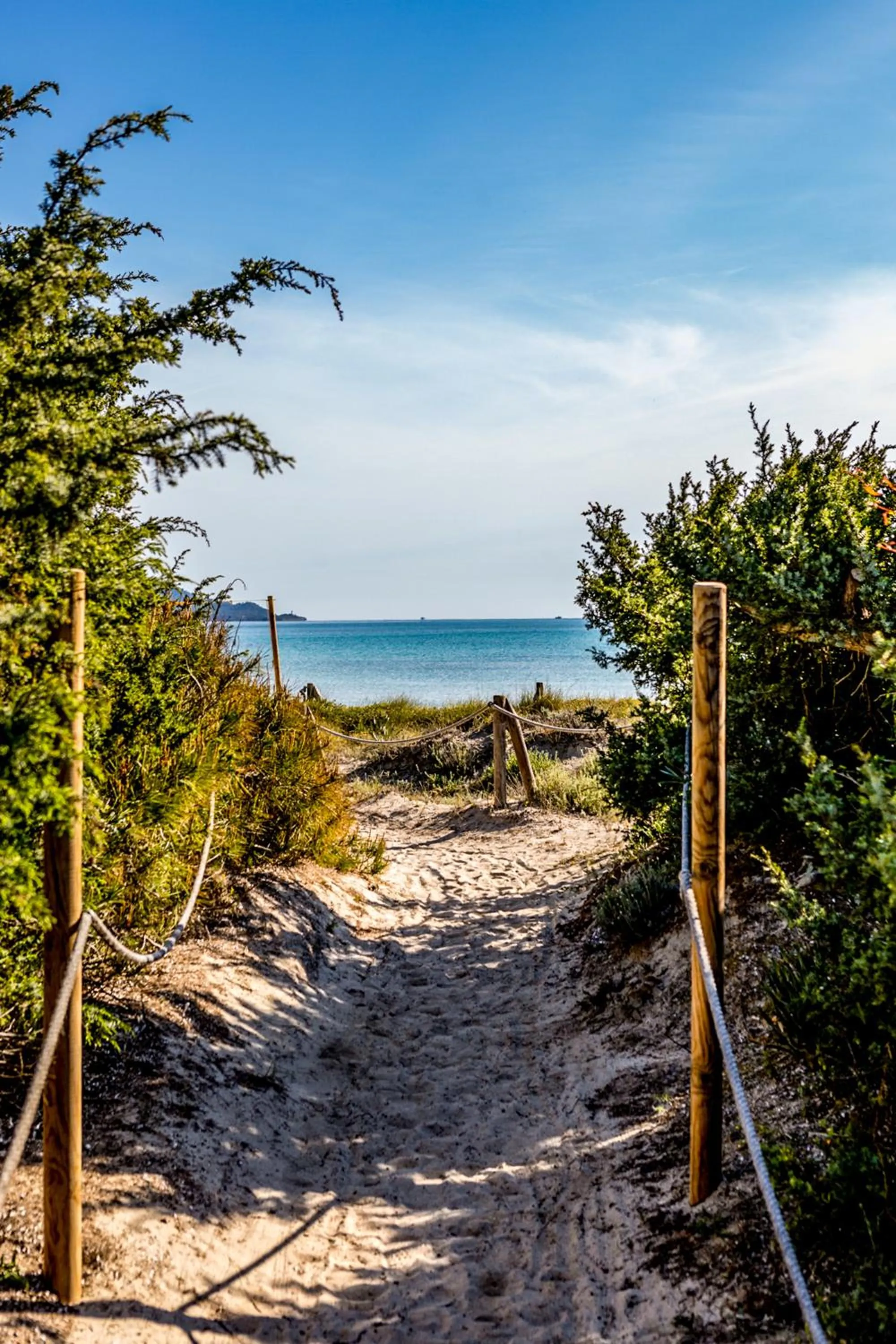Beach in Grupotel Parc Natural & Spa
