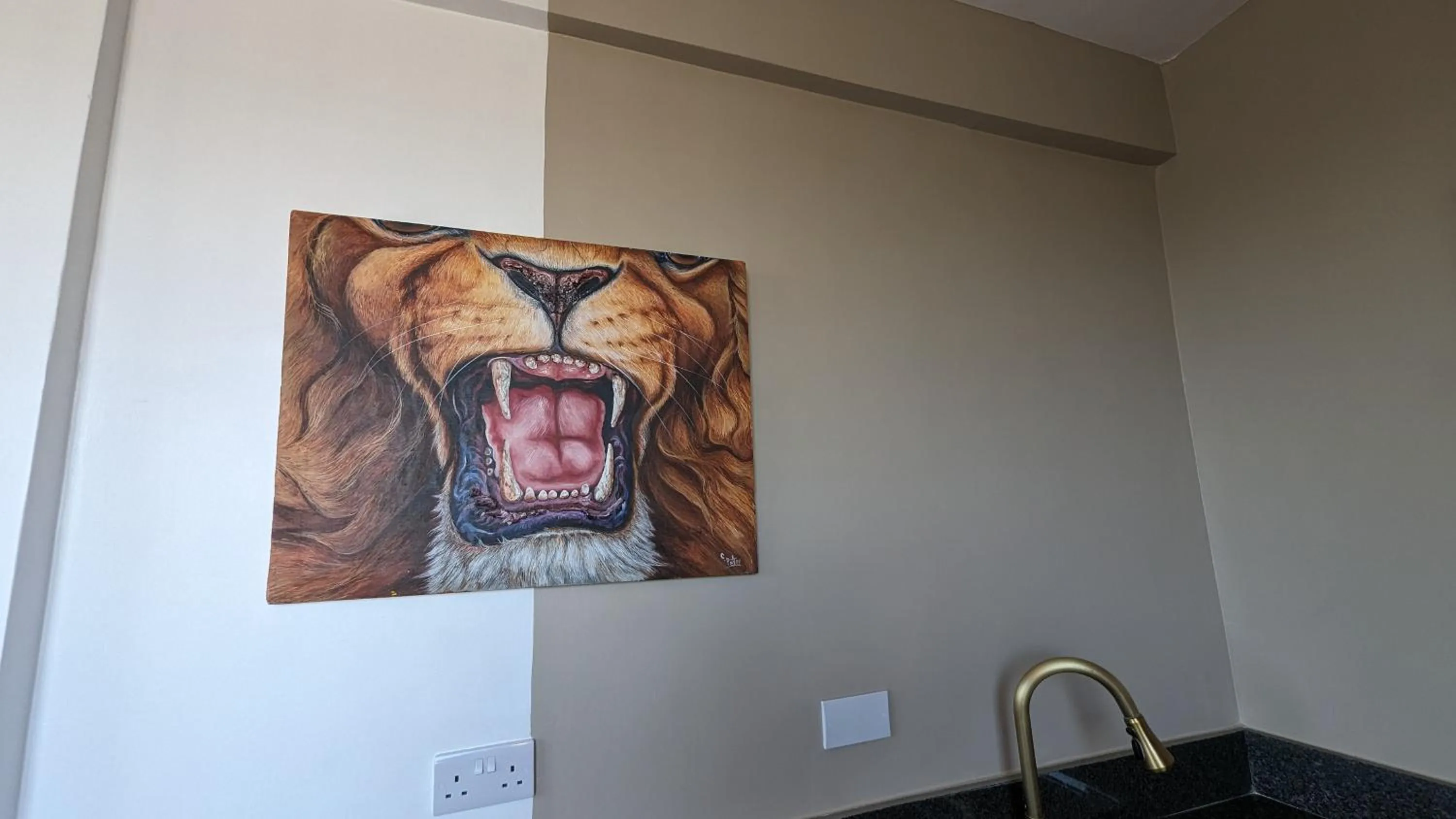 Decorative detail in Mufasa city Hostel and Apartments