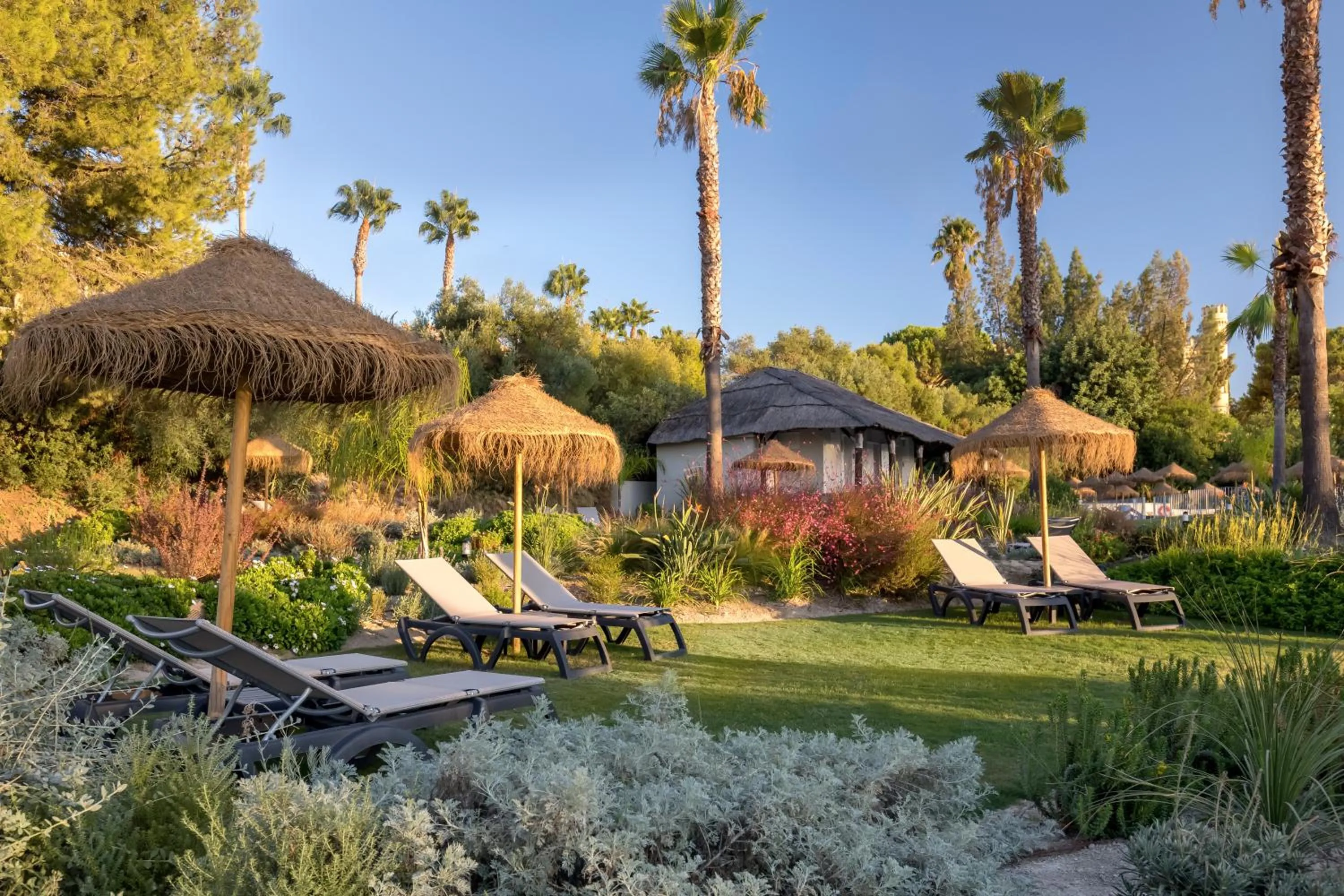 Garden in Barceló Montecastillo Golf