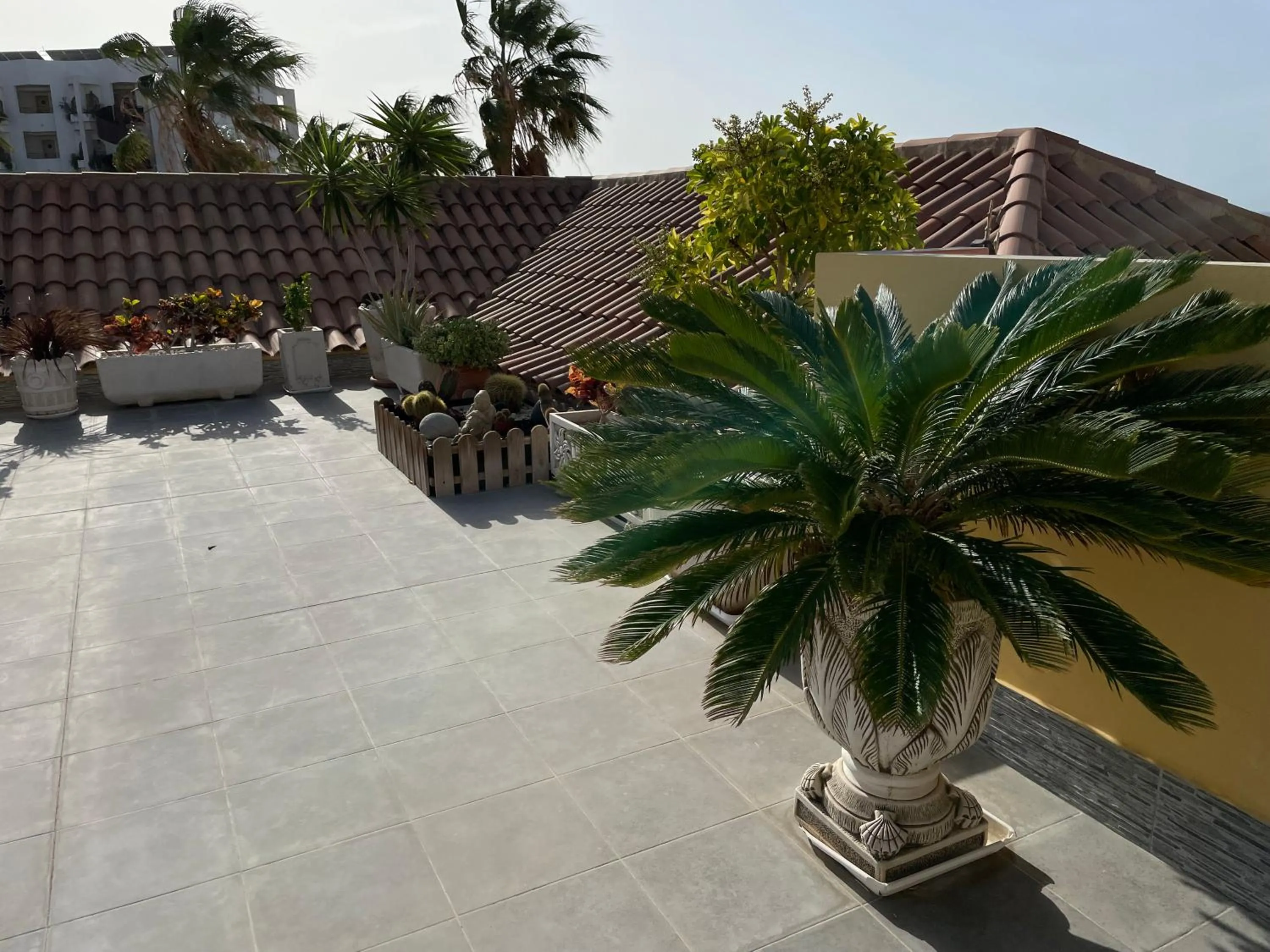 Patio in One bedroom apartment in San Blas, Golf del Sur, Tenerife