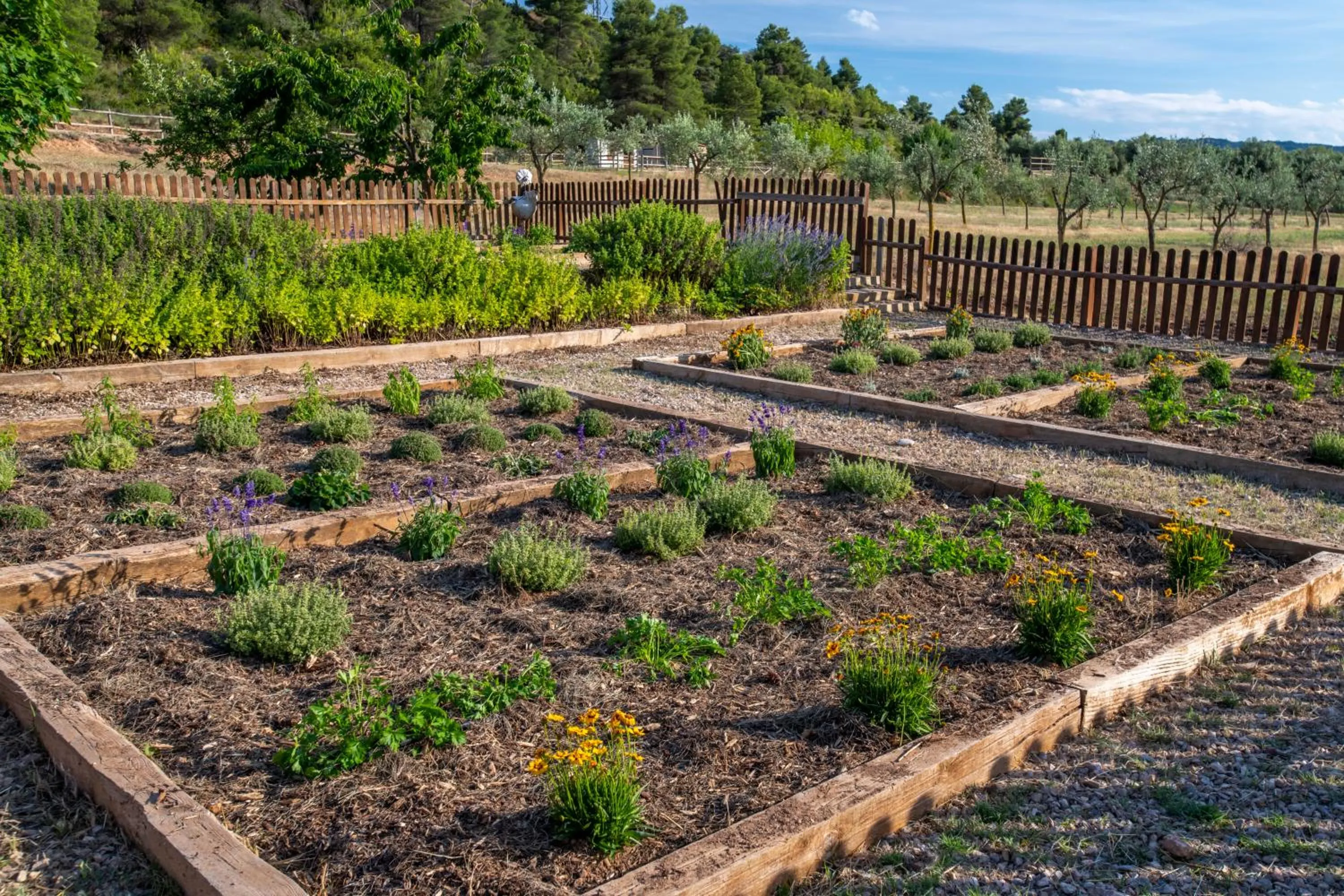 ATM in Hotel & Resort Vilar Rural d'Arnes by Serhs Hotels