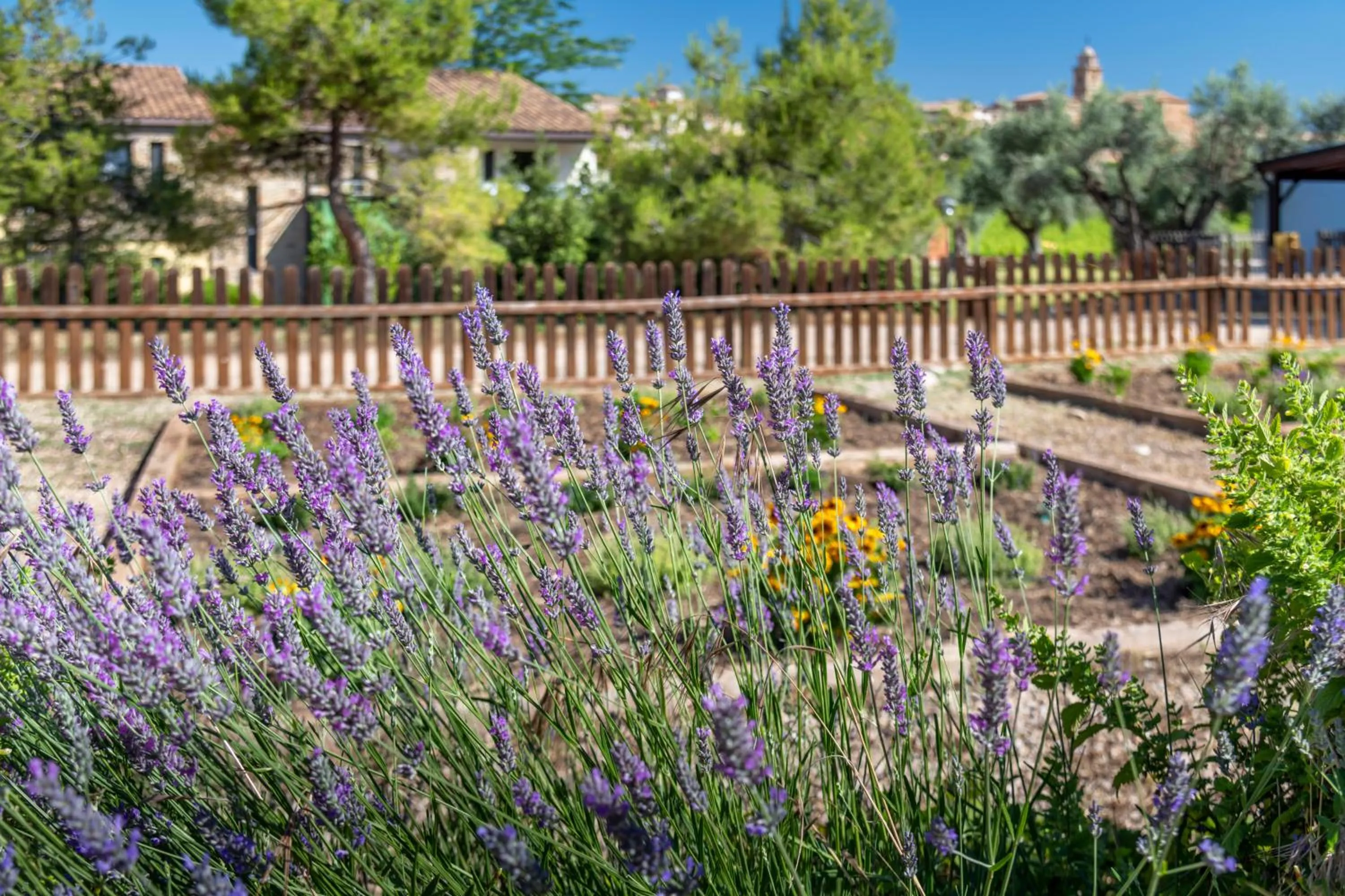 ATM in Hotel & Resort Vilar Rural d'Arnes by Serhs Hotels