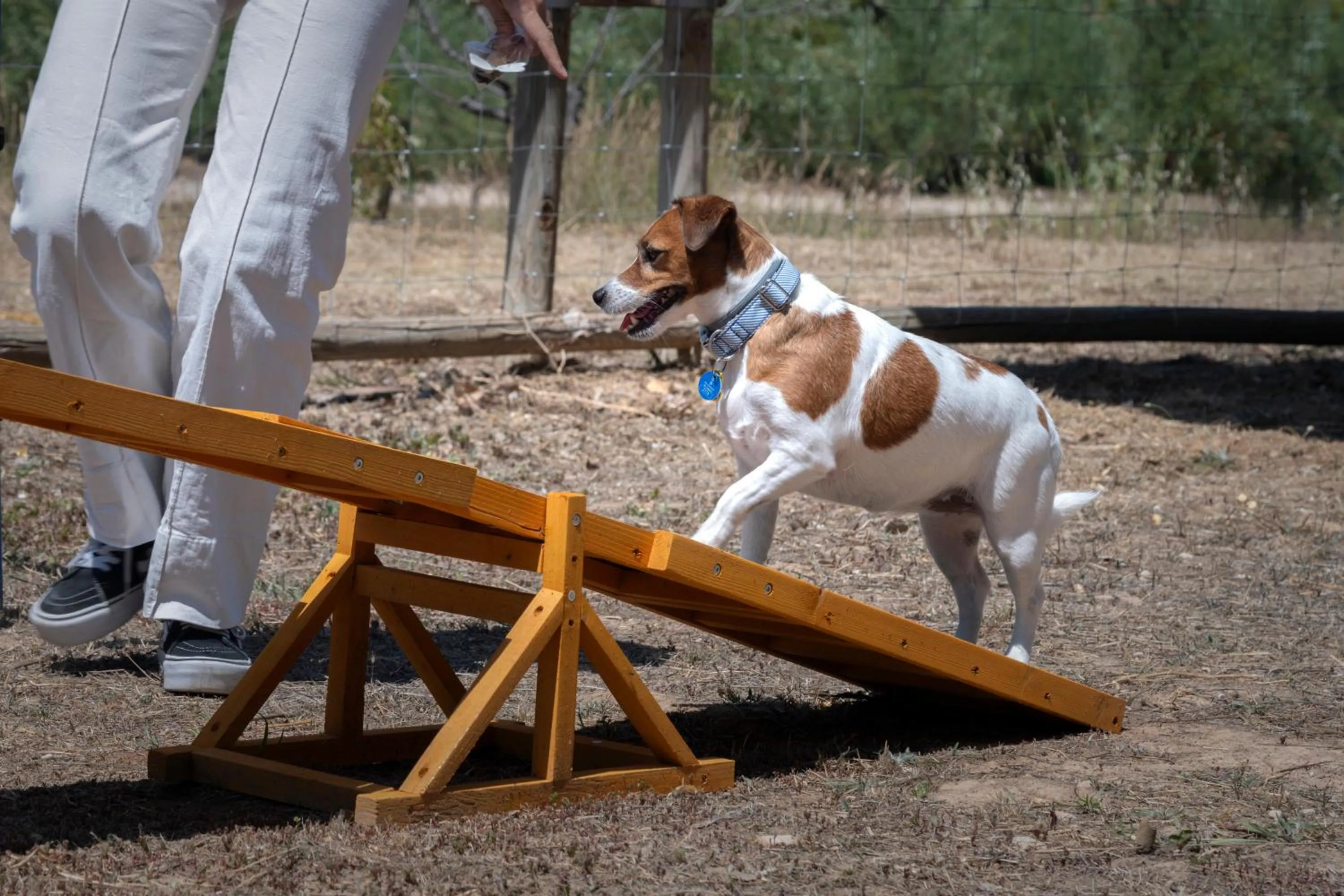 Animals in Hotel & Resort Vilar Rural d'Arnes by Serhs Hotels