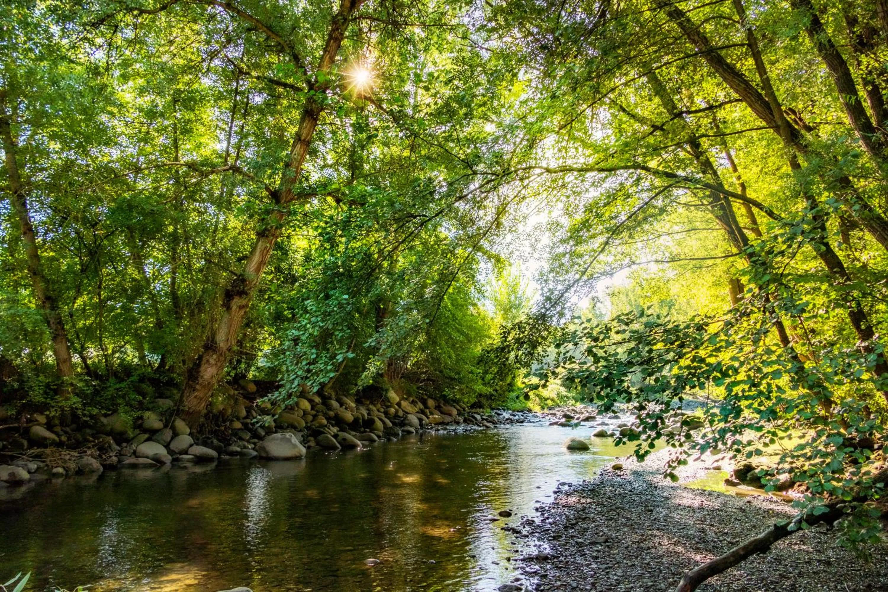Hotel Restaurante La Glorieta