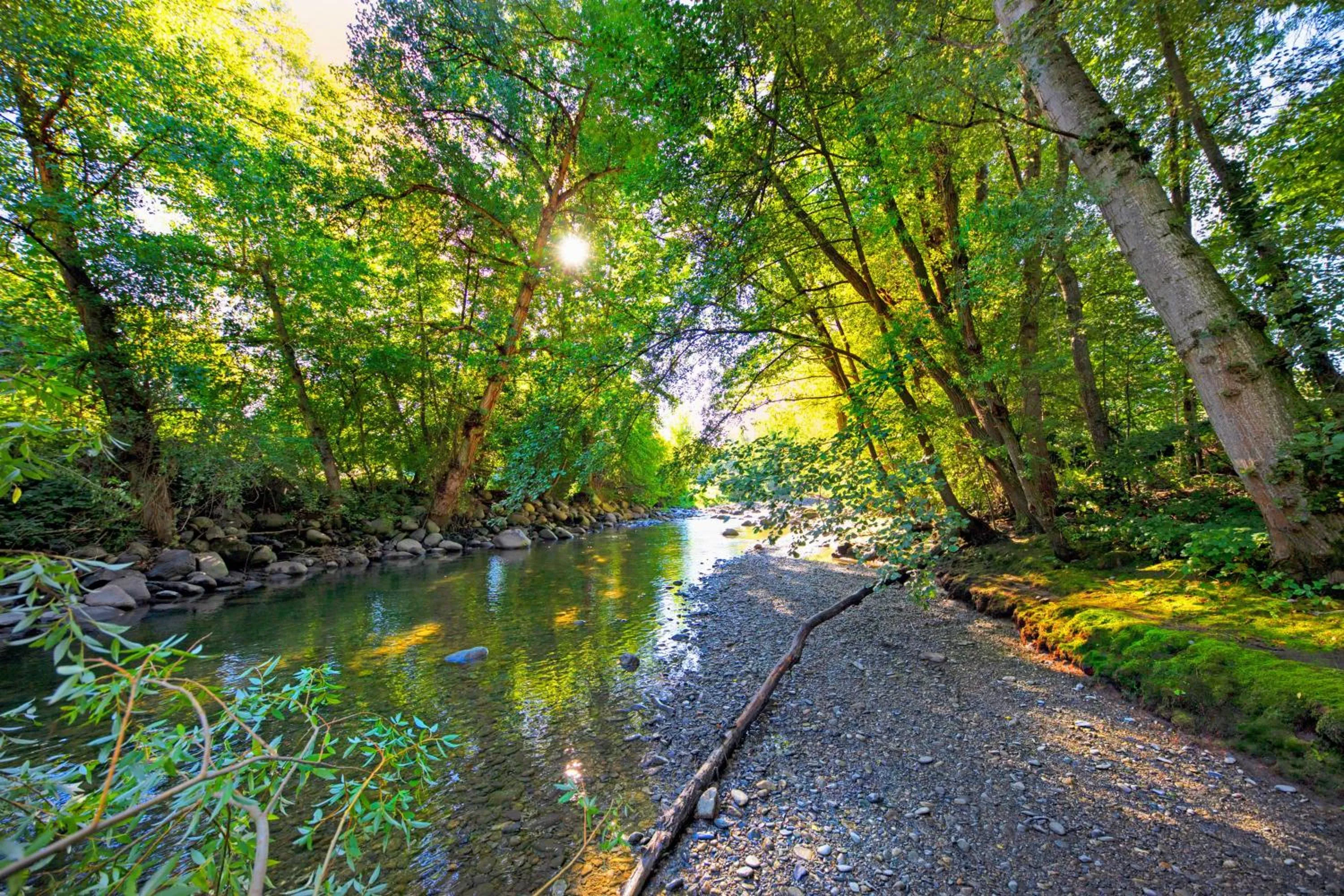 Hotel Restaurante La Glorieta