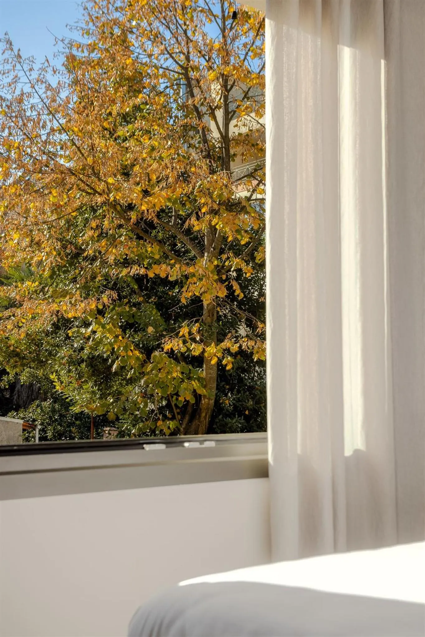 Photo of the whole room in Anvy Stylish Suites Ioannina