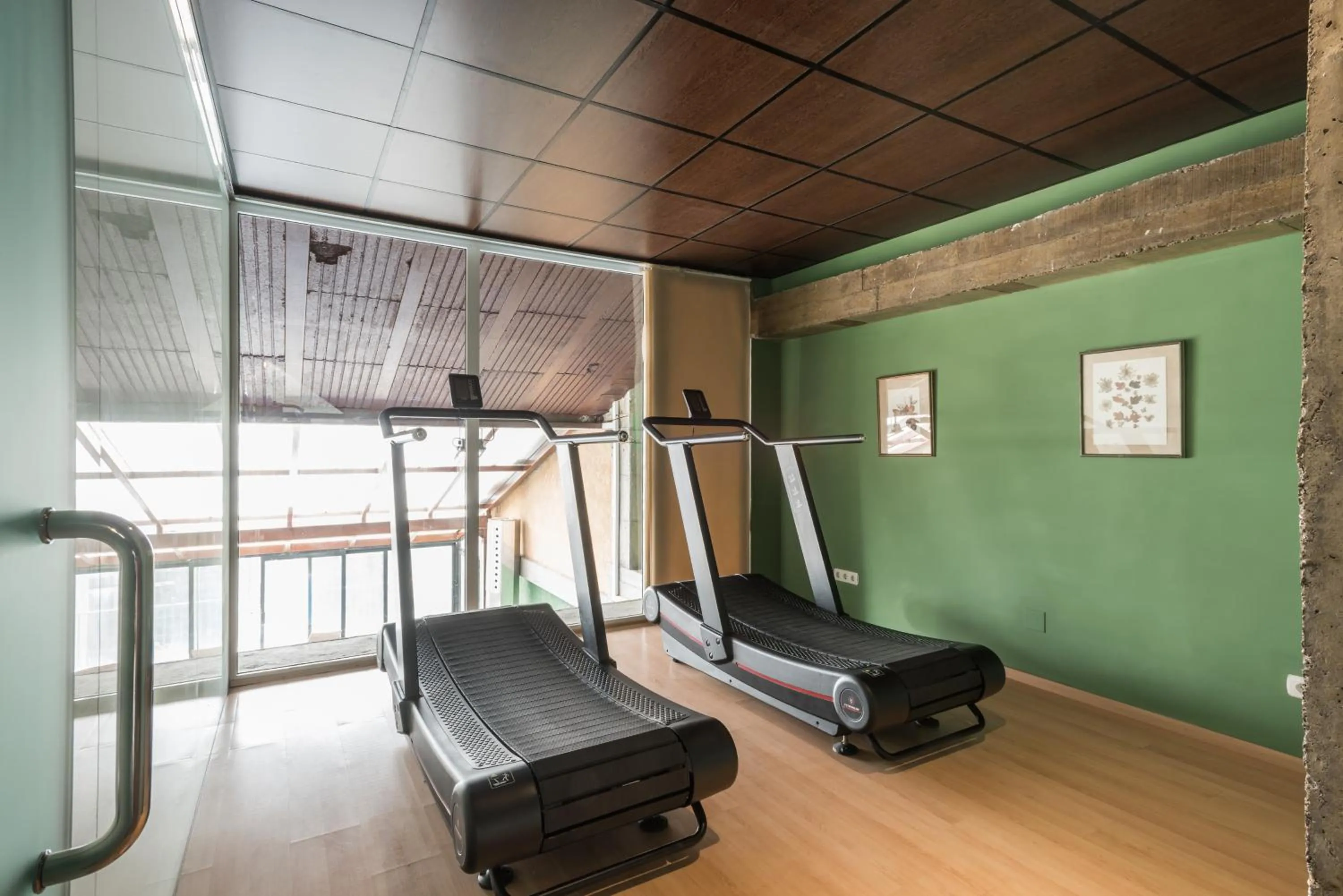 Fitness centre/facilities in SNÖ Villa de Sallent 4