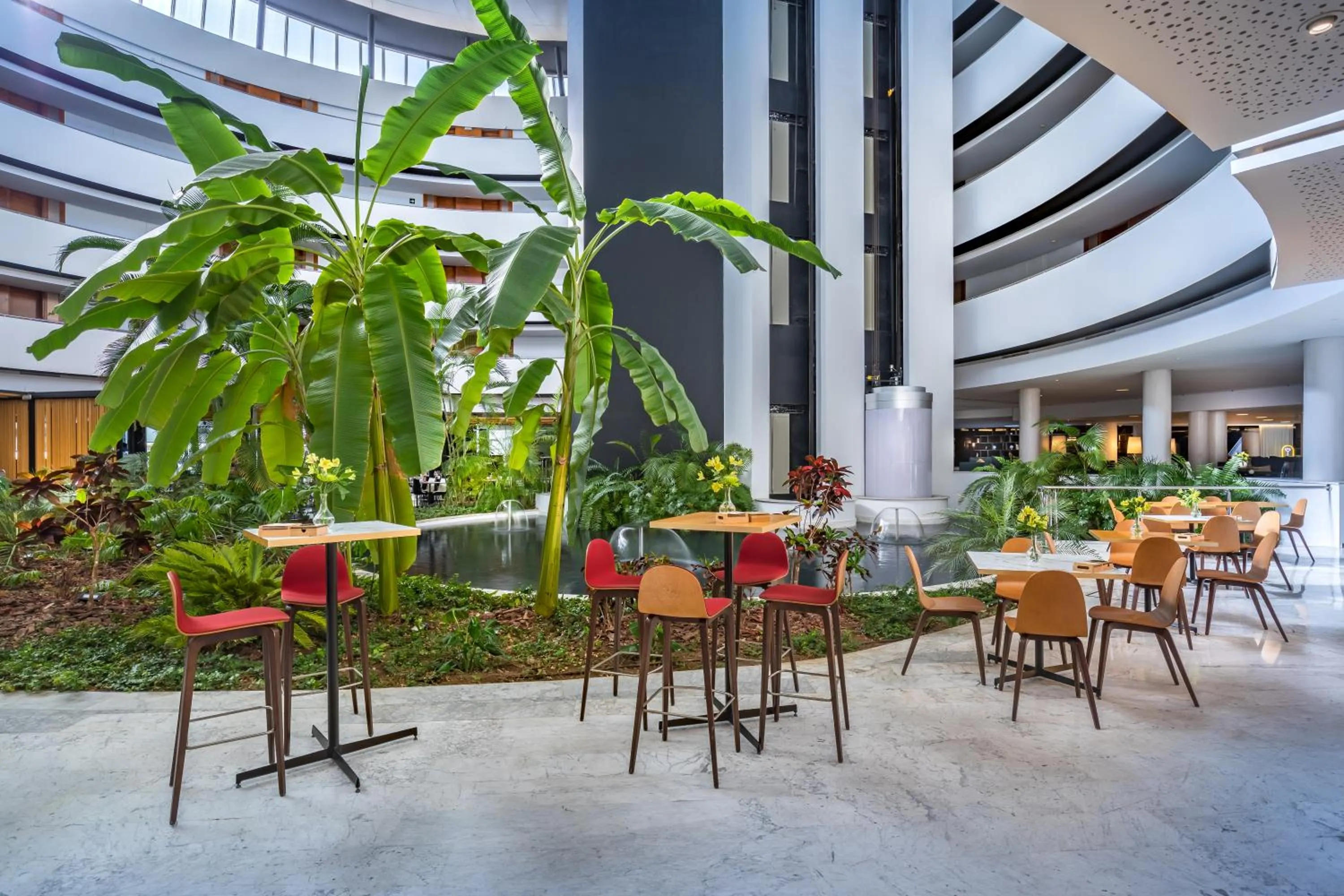 Restaurant/places to eat in Barceló Sevilla Renacimiento