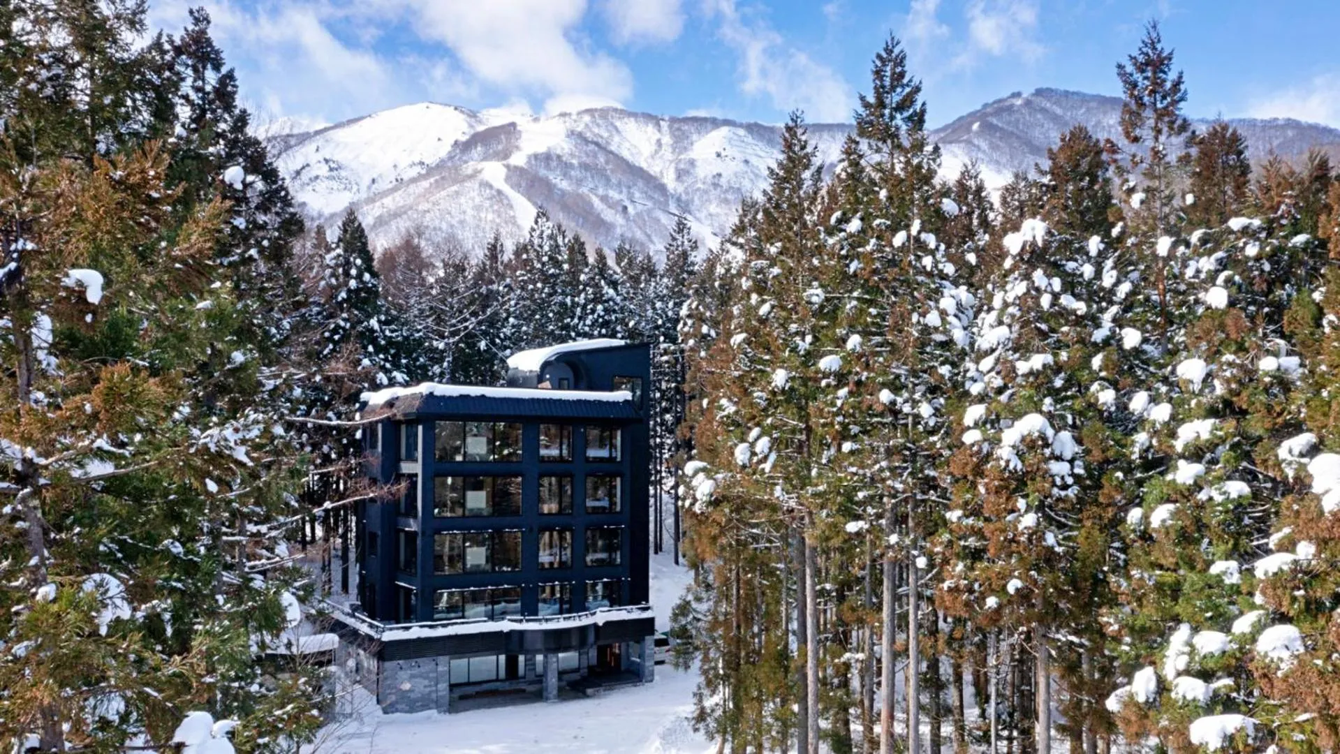 Hakuba Platinum