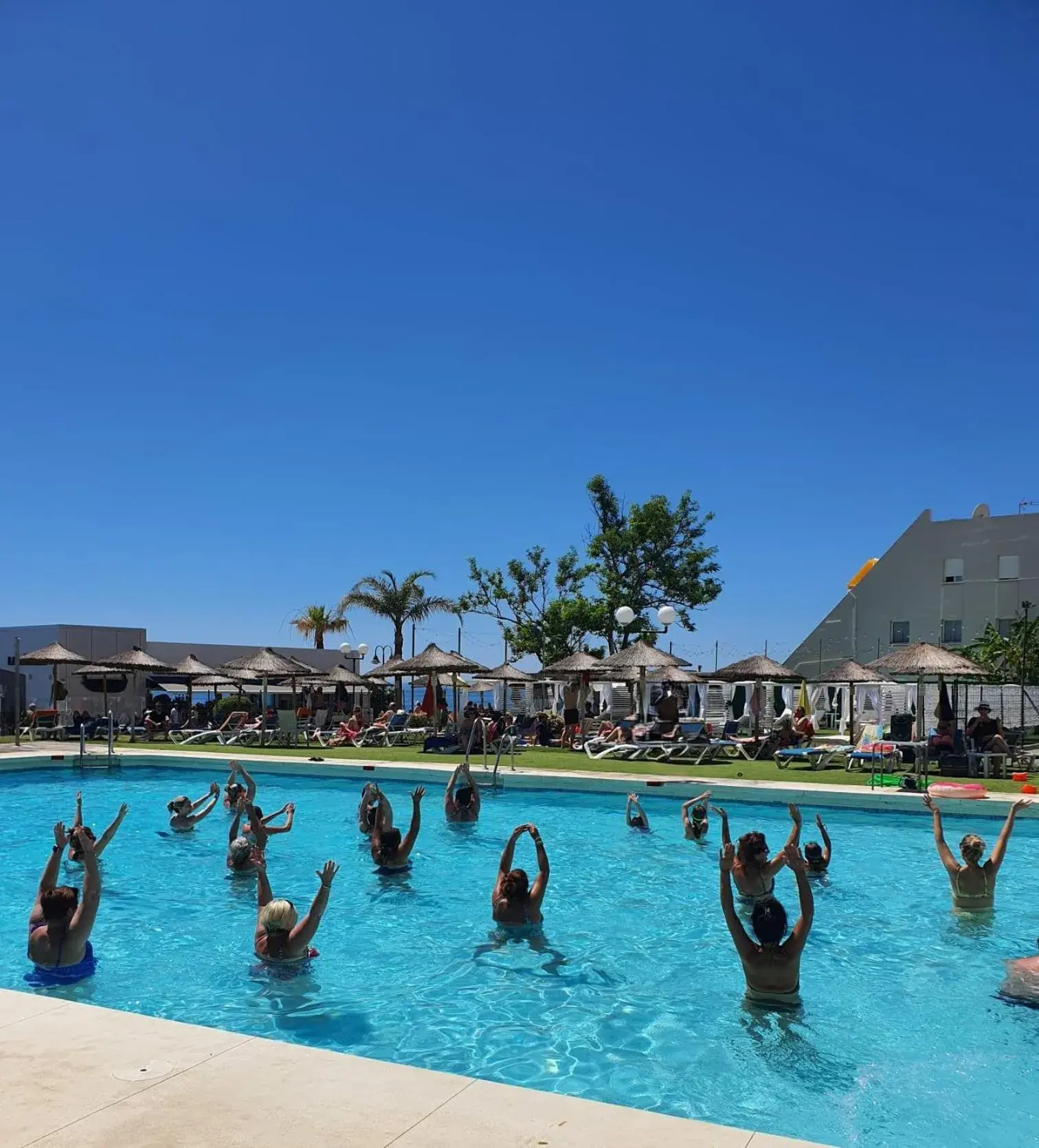 Swimming pool in La Barracuda Swimming pool in La Barracuda