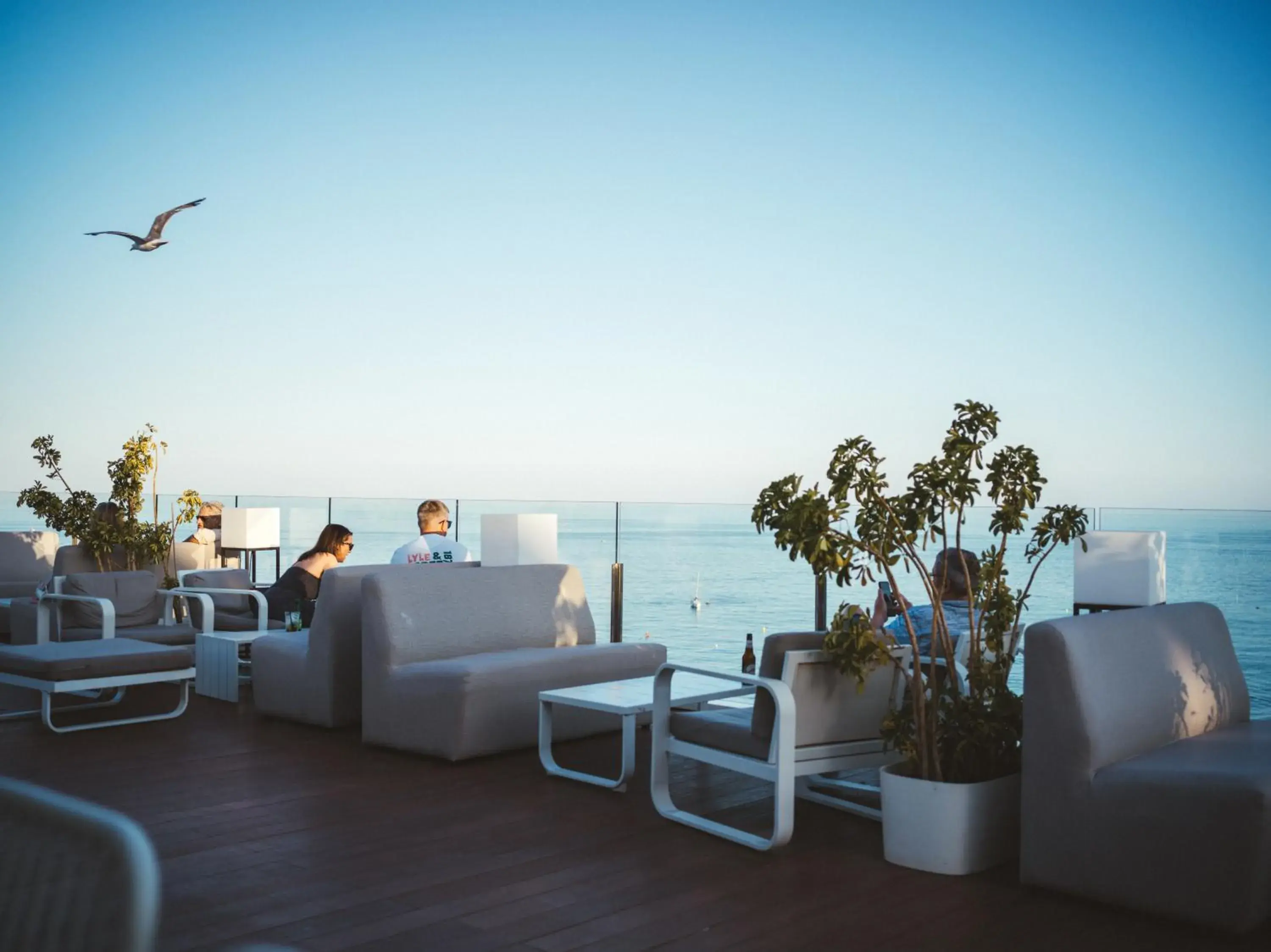 Lounge or bar in La Barracuda Lounge or bar in La Barracuda