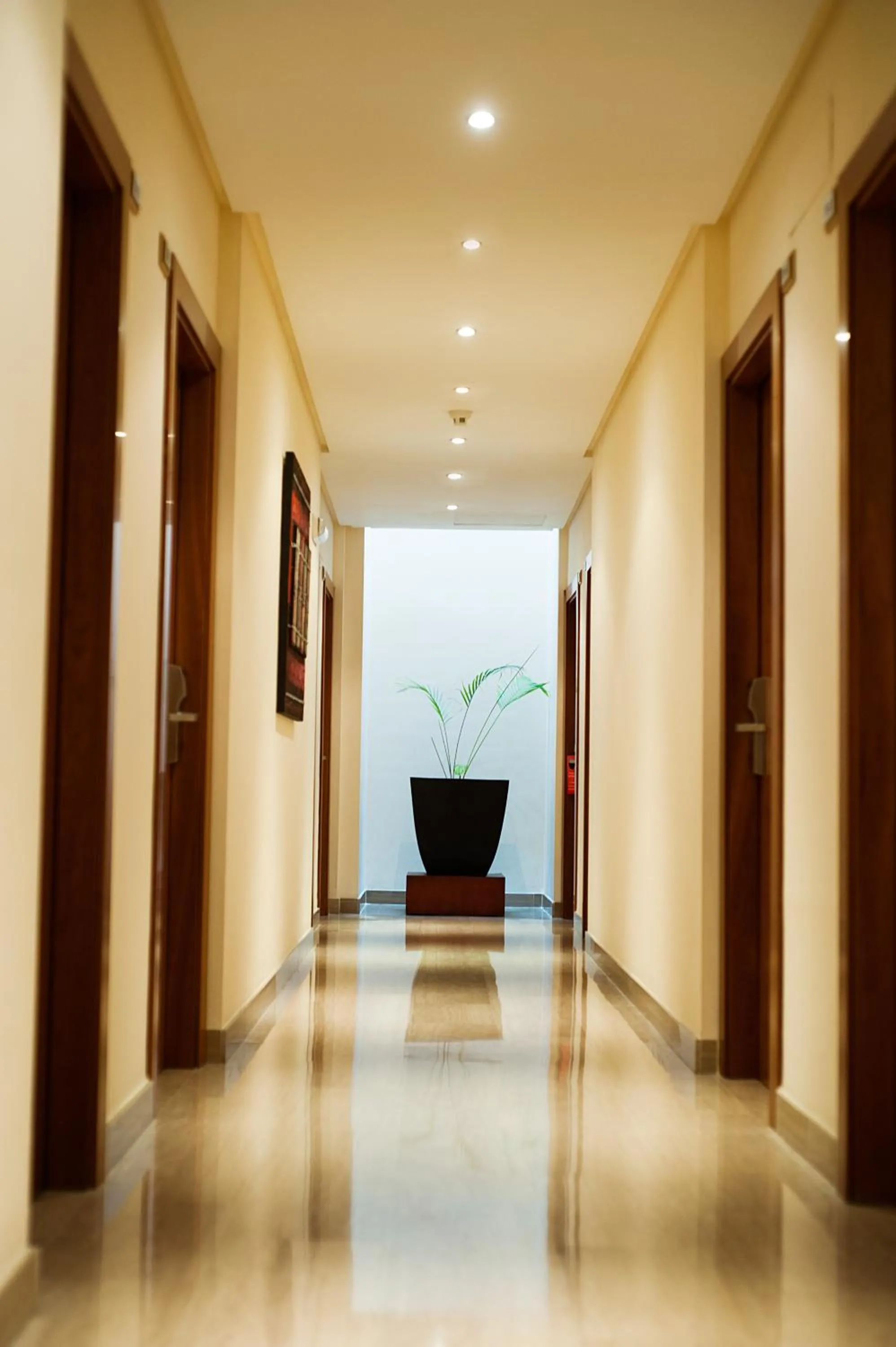 Other in Leflet Valme