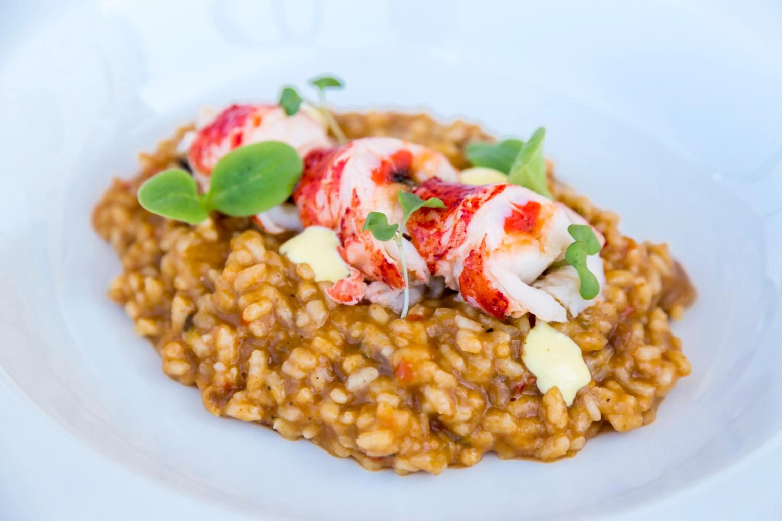 Food close-up in Barceló Hamilton Menorca - Adults Only