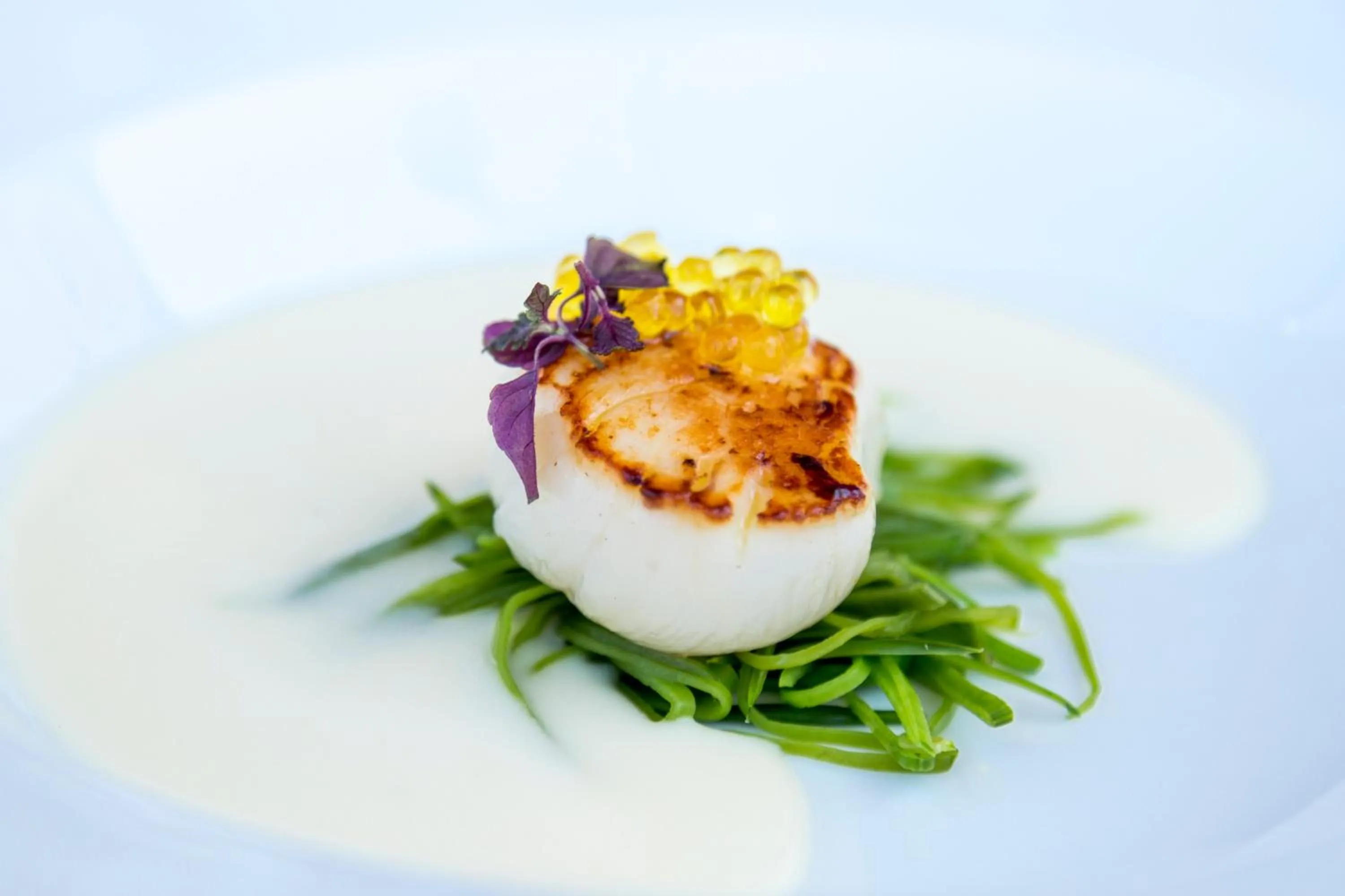 Meals in Barceló Hamilton Menorca - Adults Only