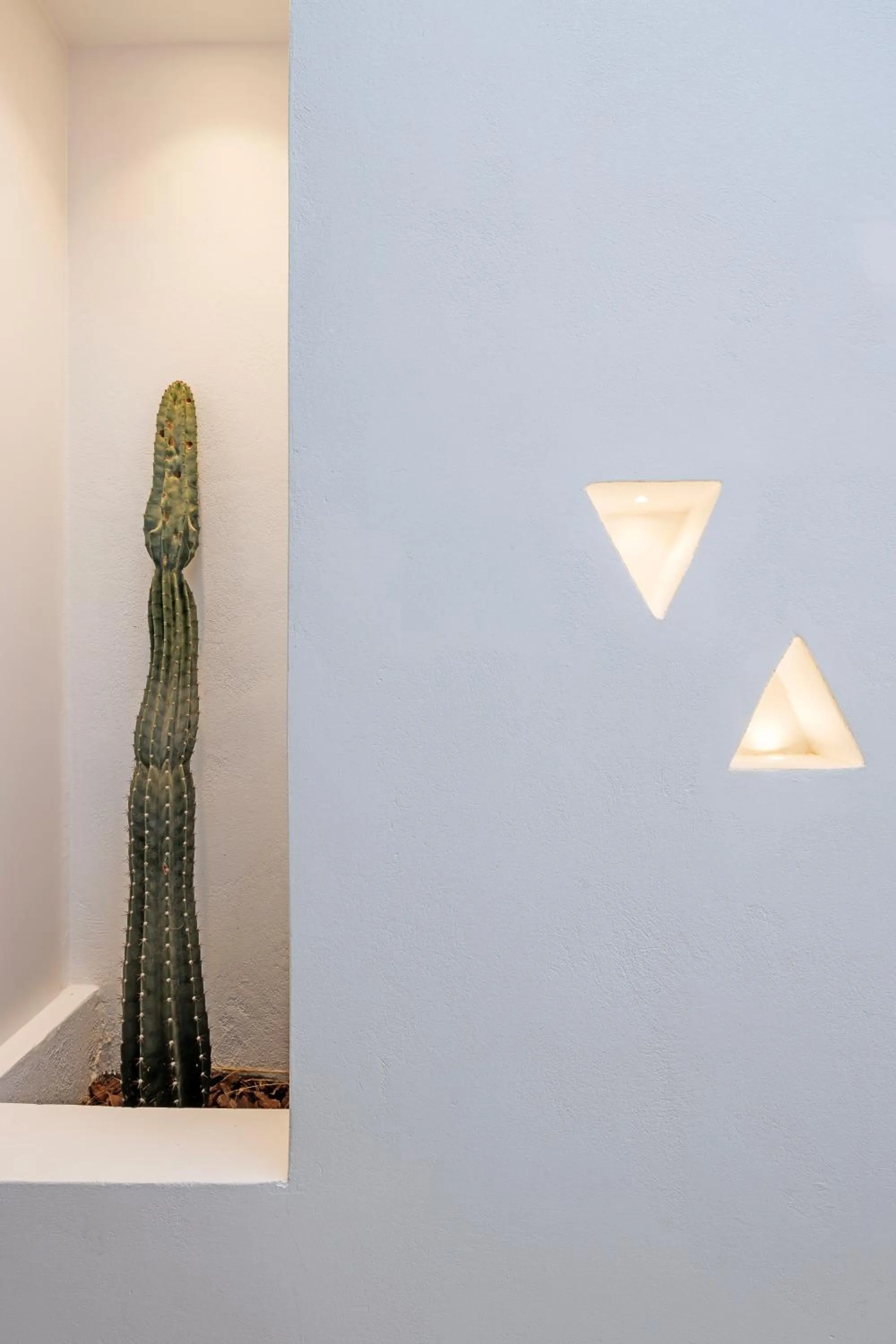 Decorative detail in Ivy's Natural Resort