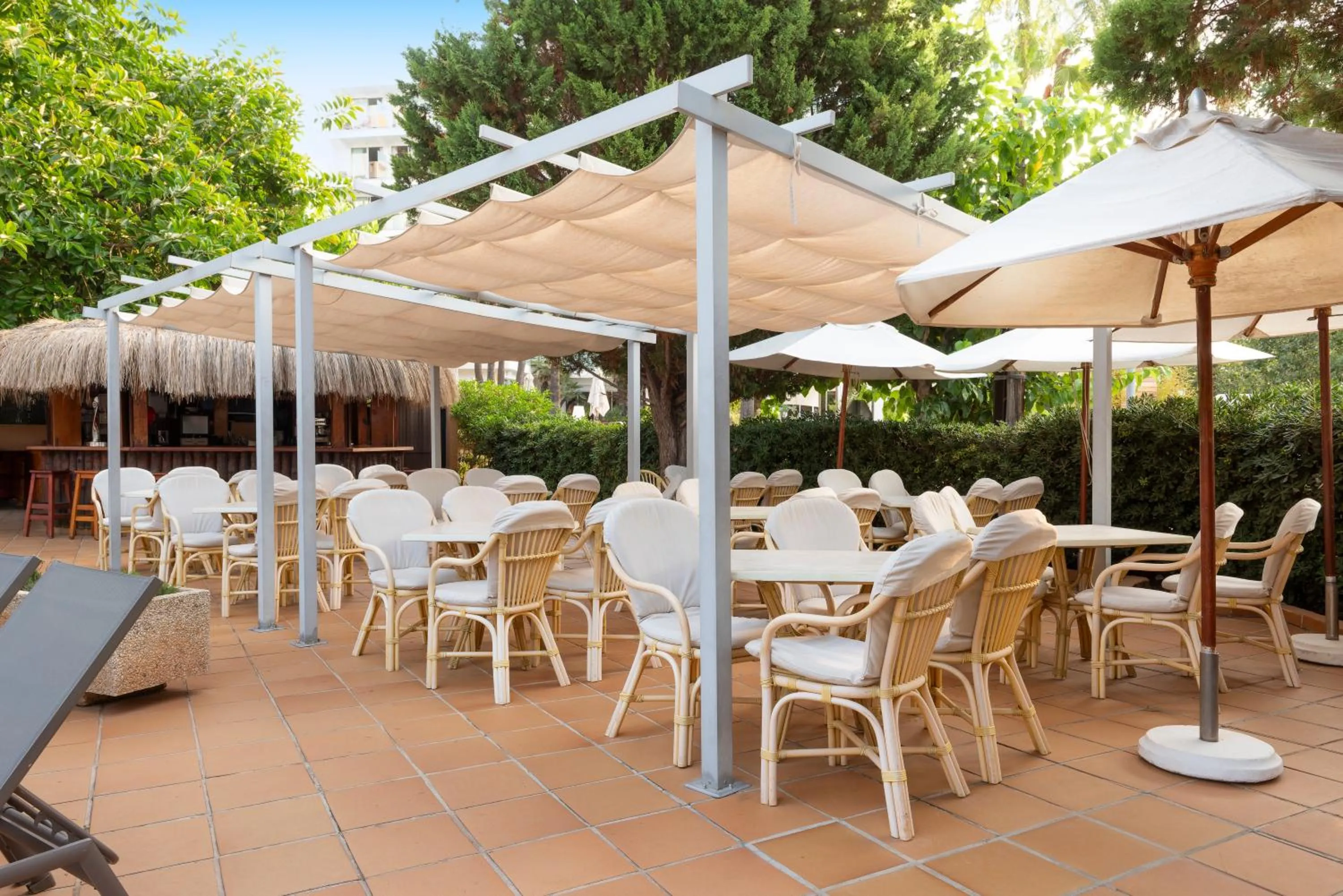 Restaurant/places to eat in Valentin Reina Paguera - Adults Only