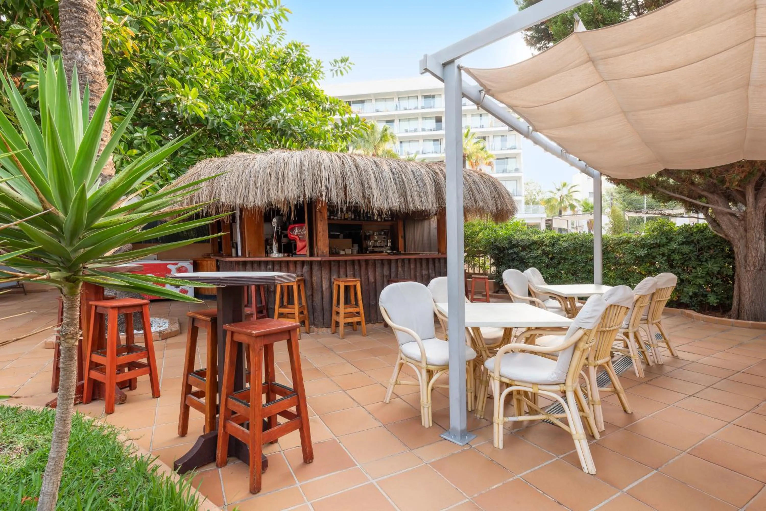 Lounge or bar in Valentin Reina Paguera - Adults Only