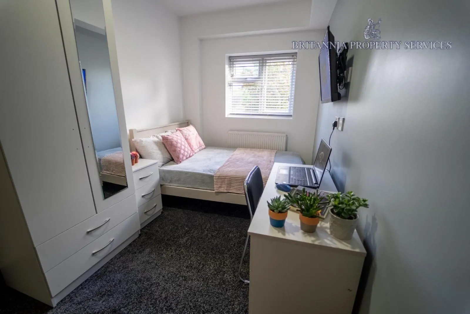 Lovely homely studio available