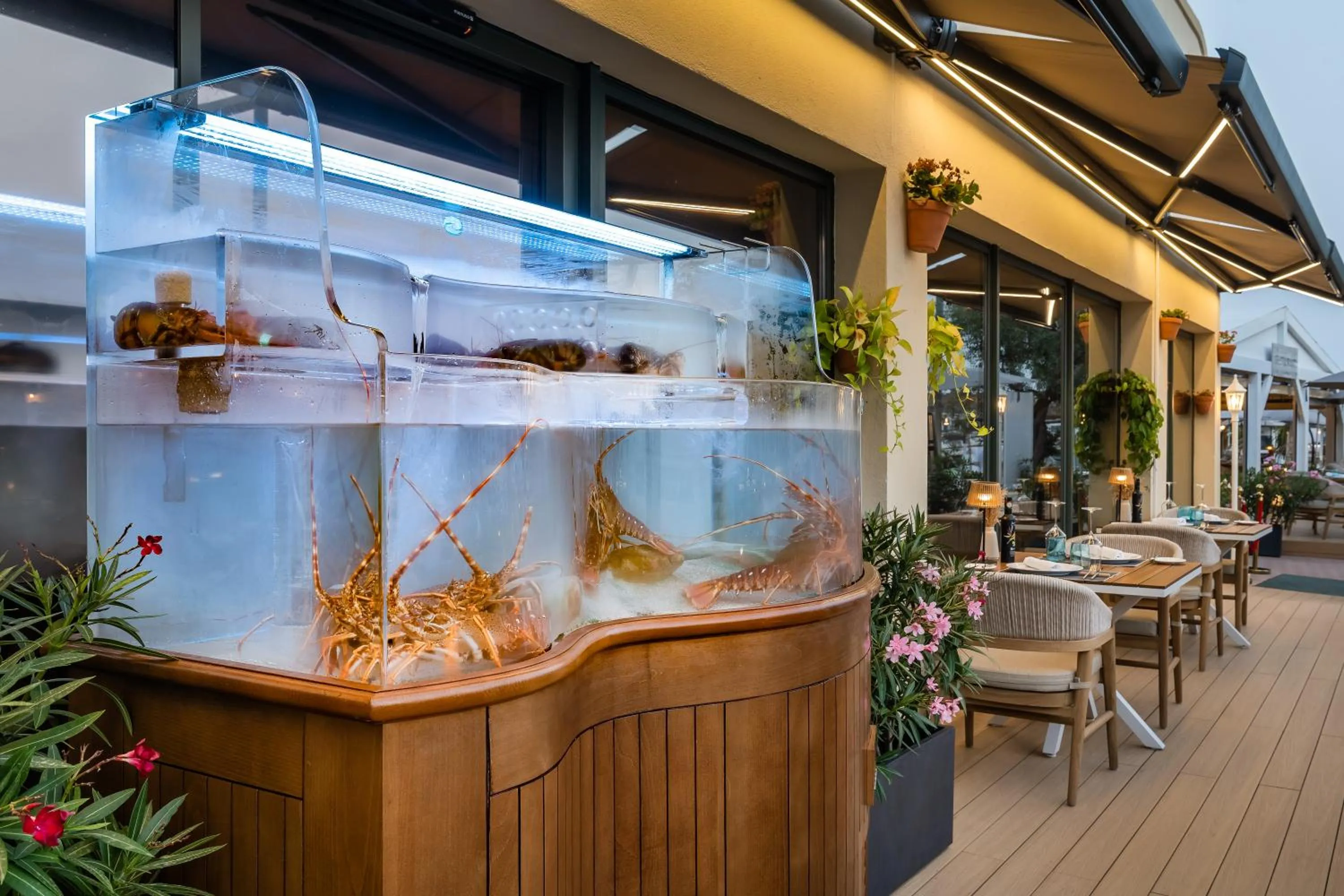 Restaurant/places to eat in Valentin Star Menorca - Adults Only