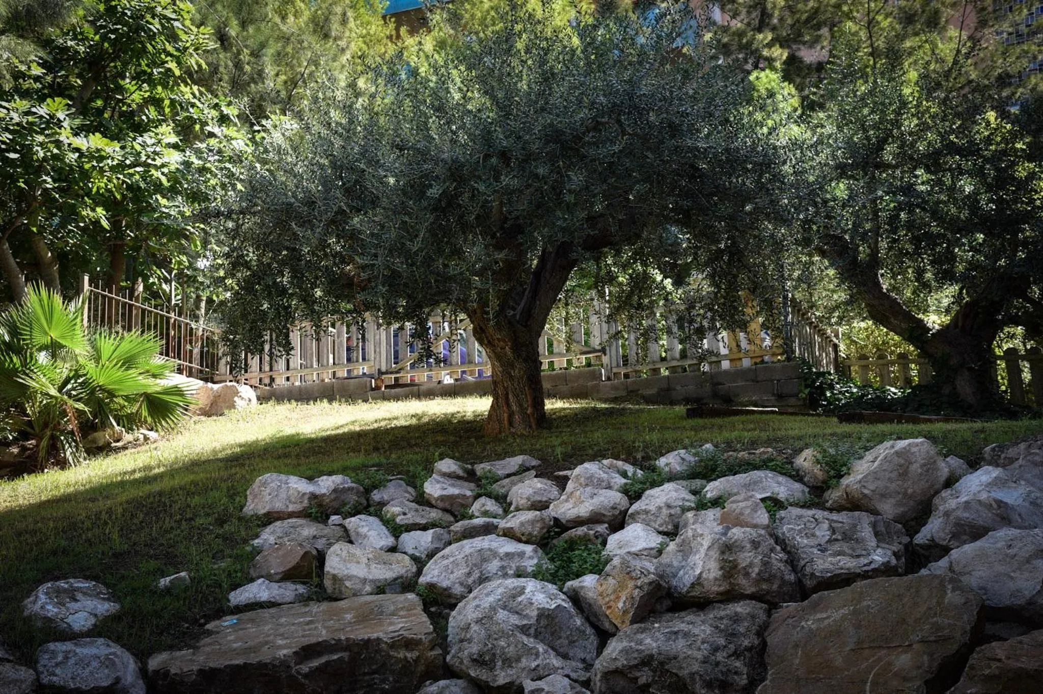 Patio in Aparthotel SunClub Salou