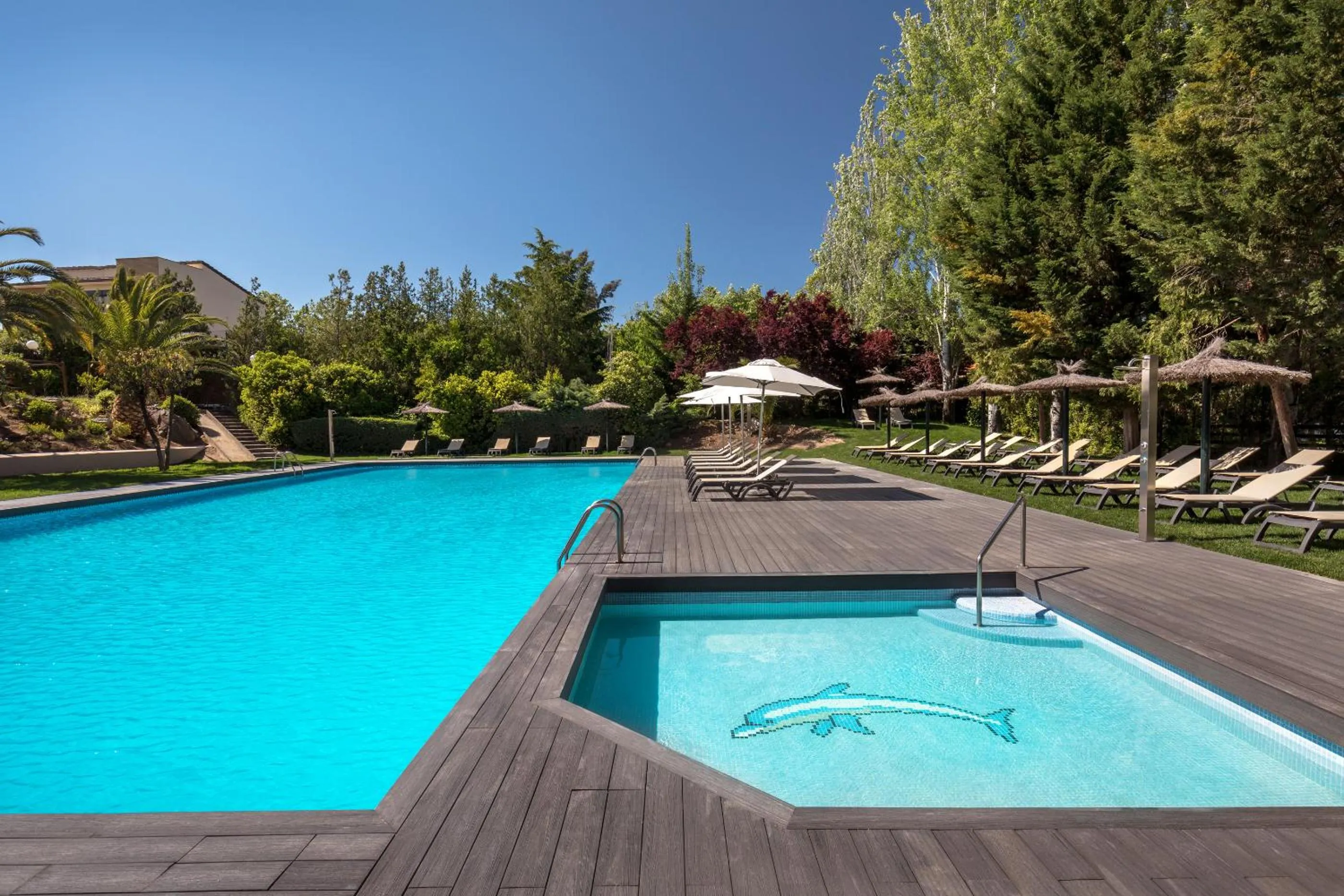 Swimming pool in Barceló Cáceres V Centenario