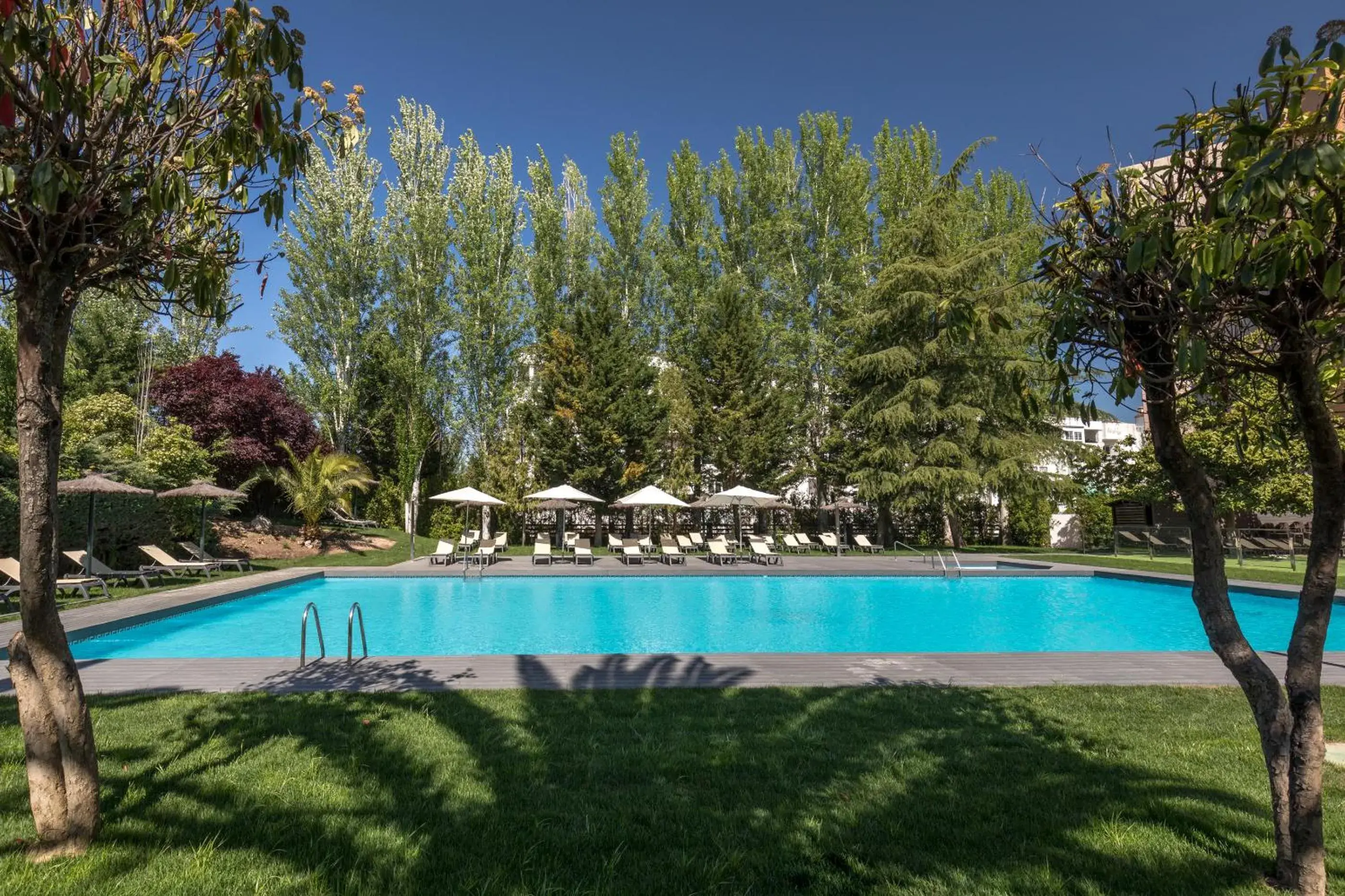 Swimming pool in Barceló Cáceres V Centenario Swimming pool in Barceló Cáceres V Centenario