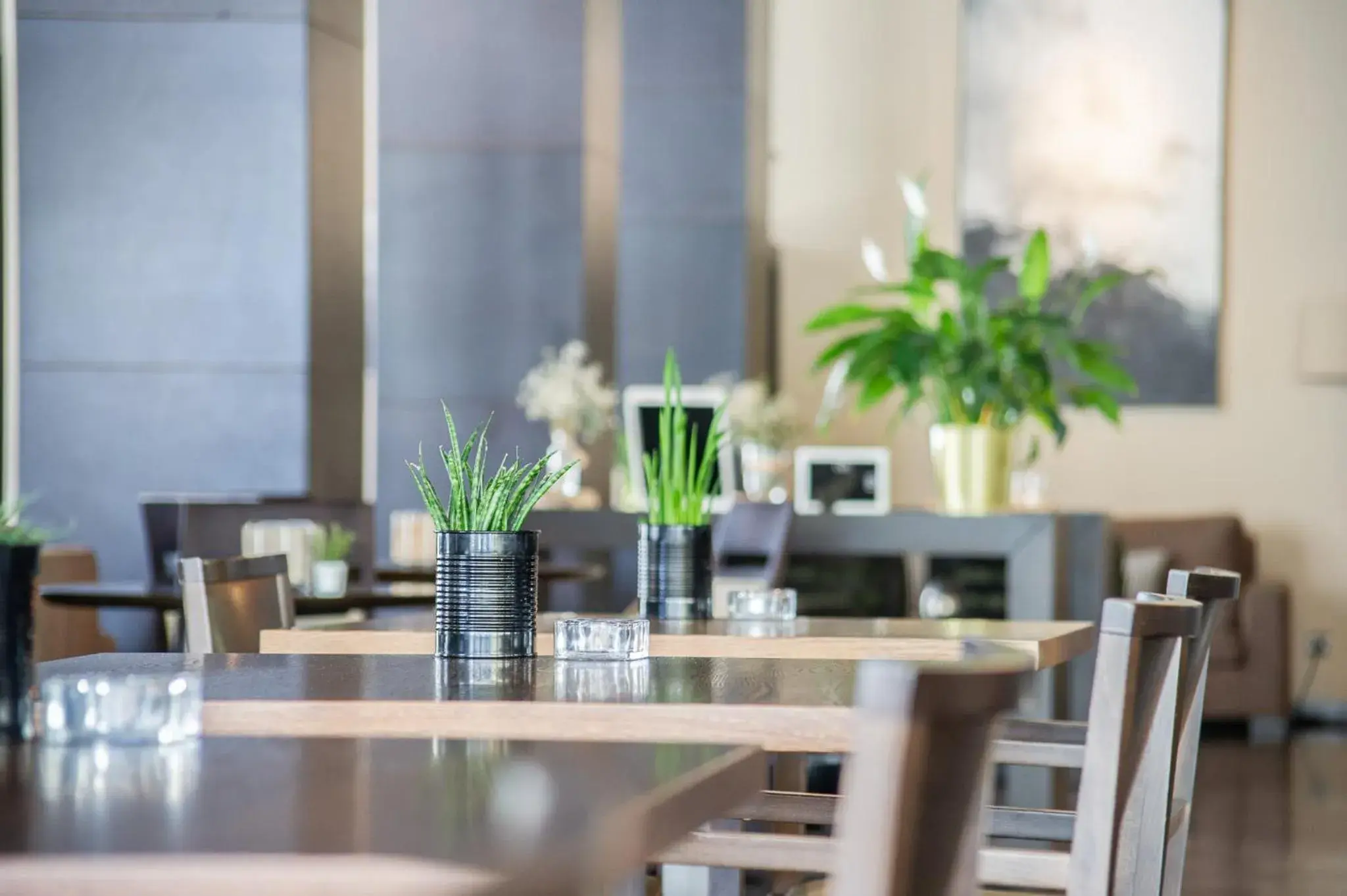 Restaurant/places to eat in AZZ Asturias LangreHotel & Spa Restaurant/places to eat in AZZ Asturias LangreHotel & Spa