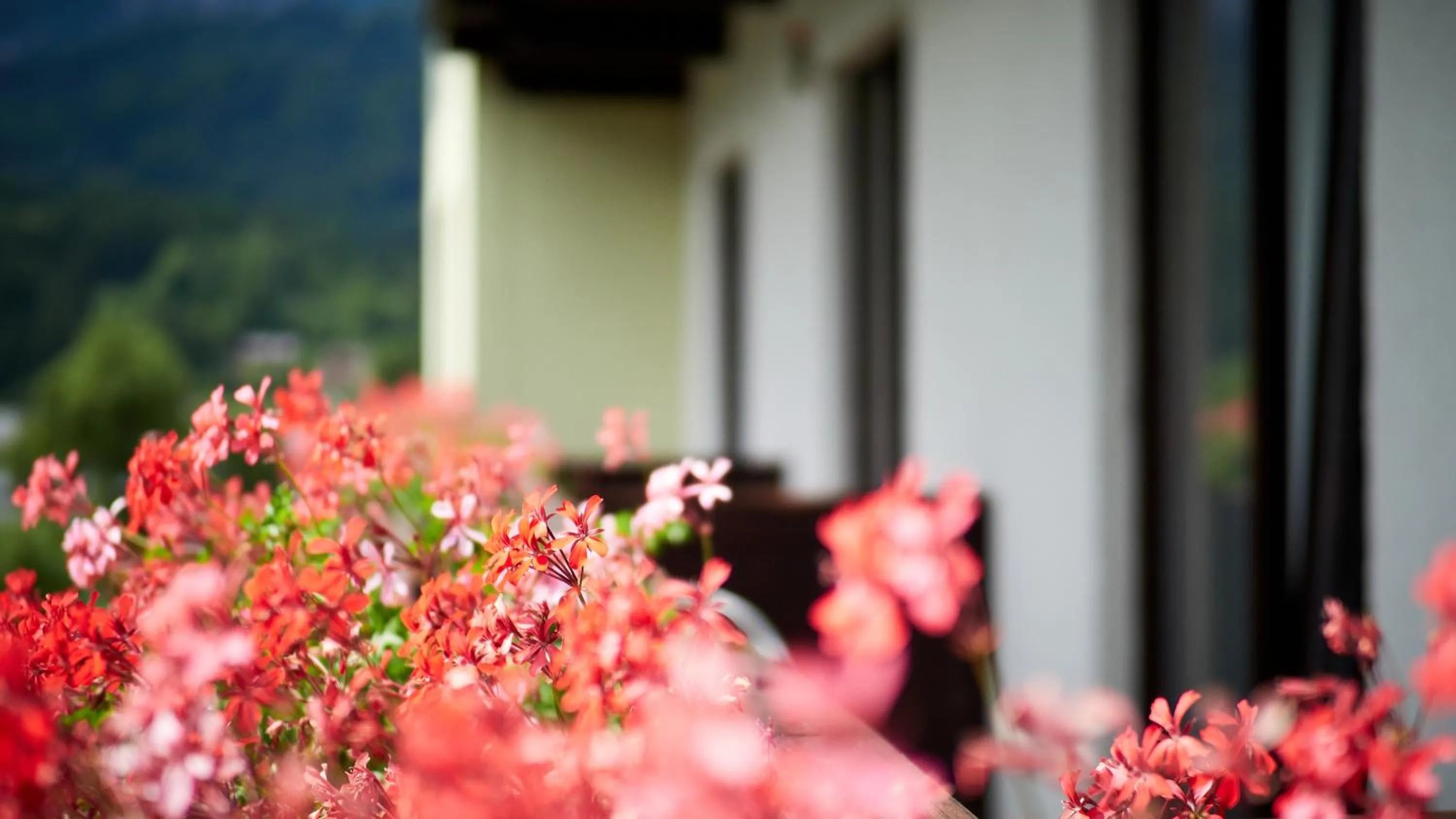 Balcony/Terrace in Jeff's - Rooms with a mountain view