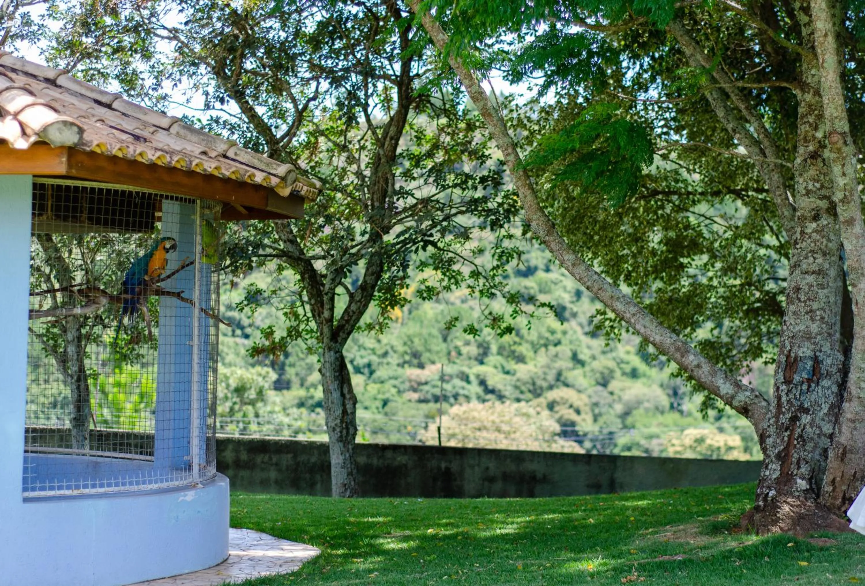 Garden view in POUSADA RECANTO SÃO JORGE