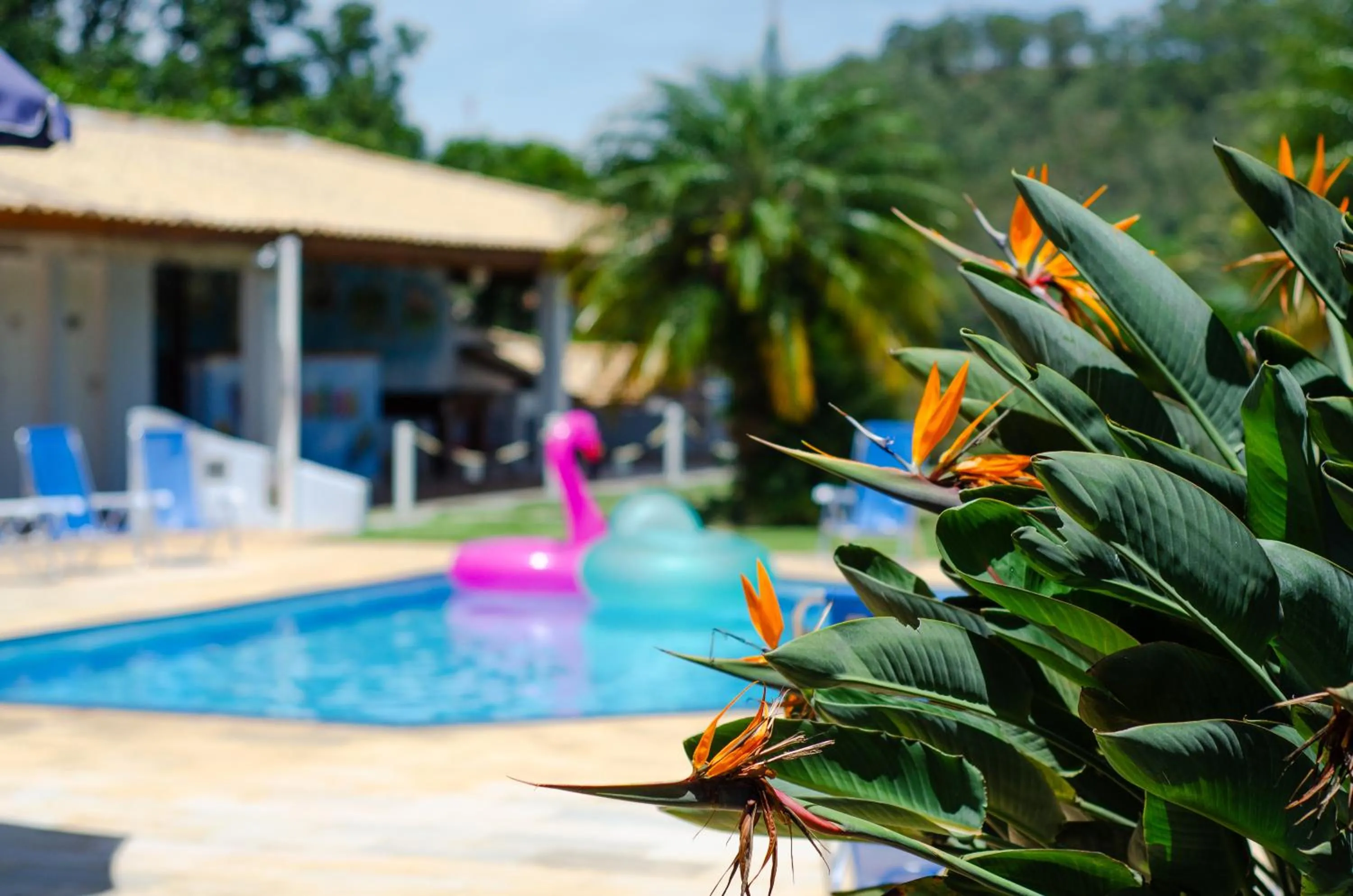 Swimming pool in POUSADA RECANTO SÃO JORGE