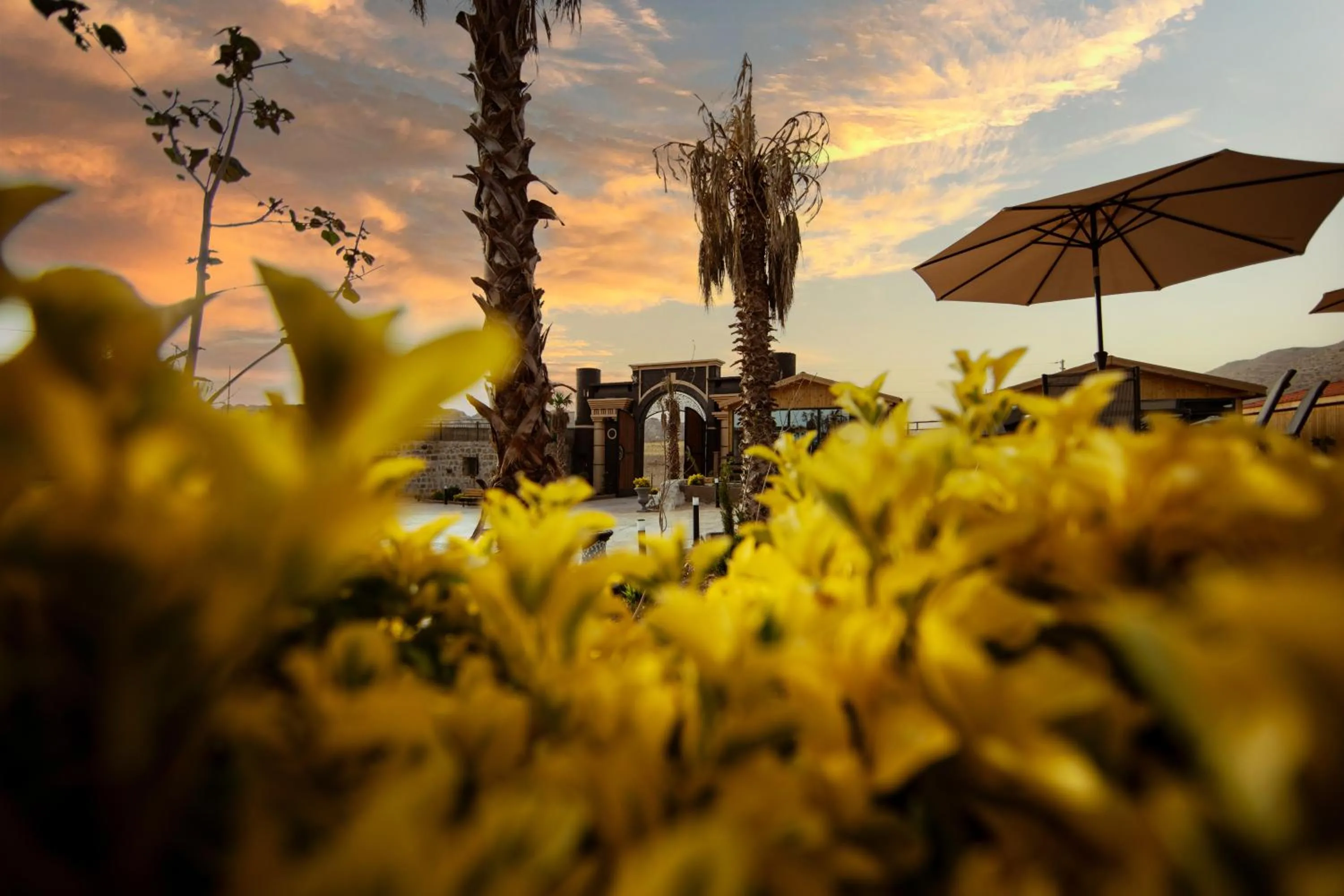 Garden in Petra Seasons luxury Resort