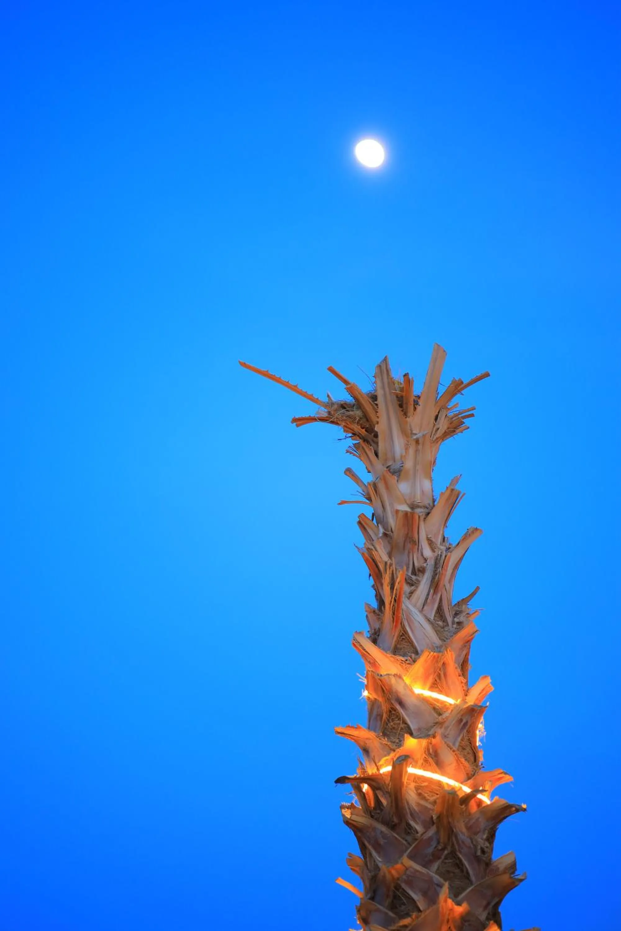 View (from property/room) in Petra Seasons luxury Resort