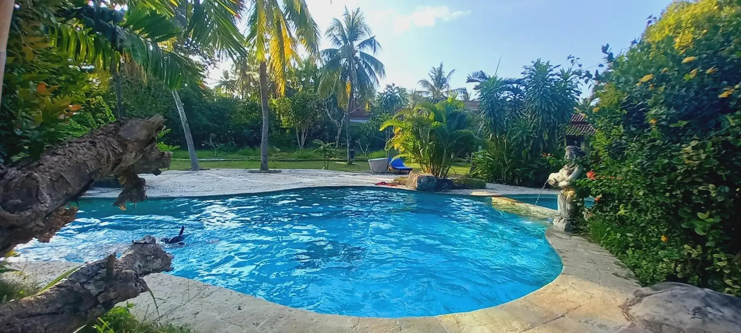 Swimming pool in Matahari Inn Kuta Lombok Swimming pool in Matahari Inn Kuta Lombok