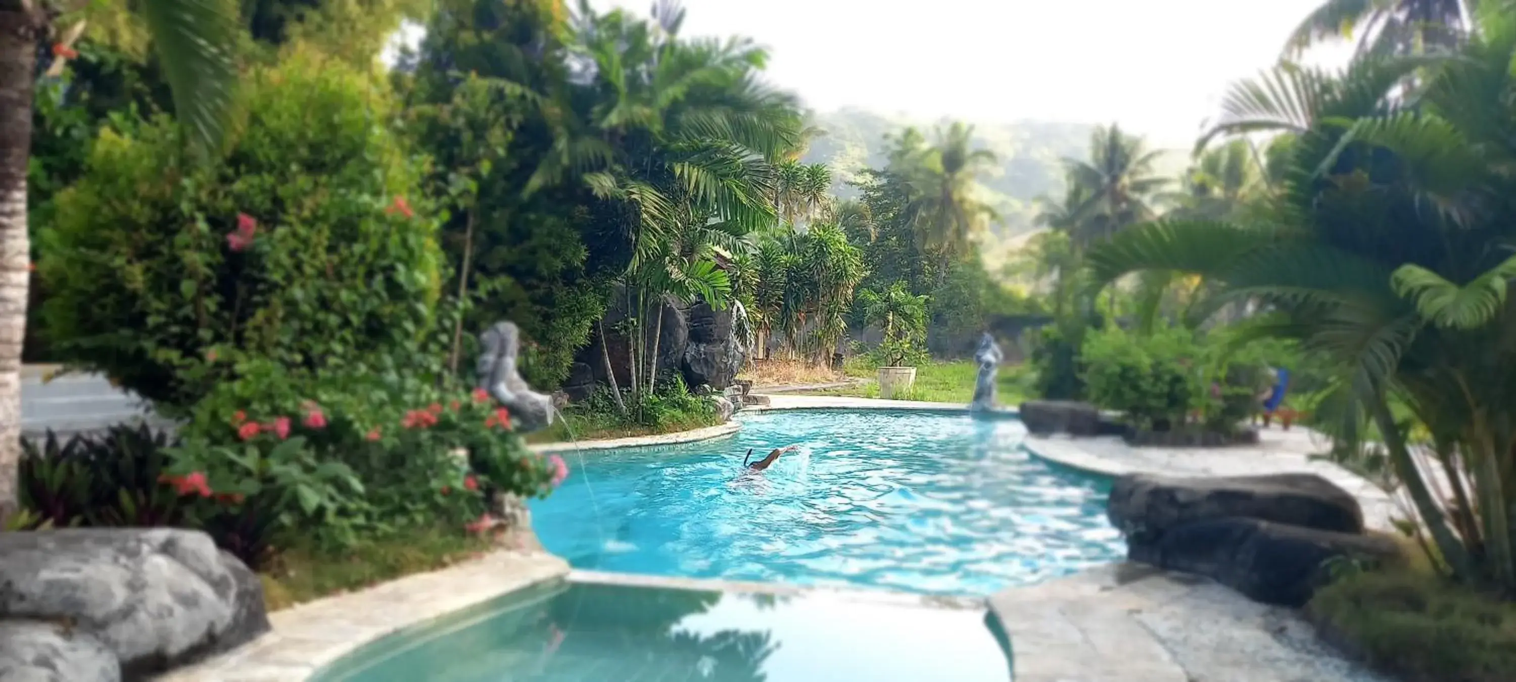Swimming pool in Matahari Inn Kuta Lombok Swimming pool in Matahari Inn Kuta Lombok