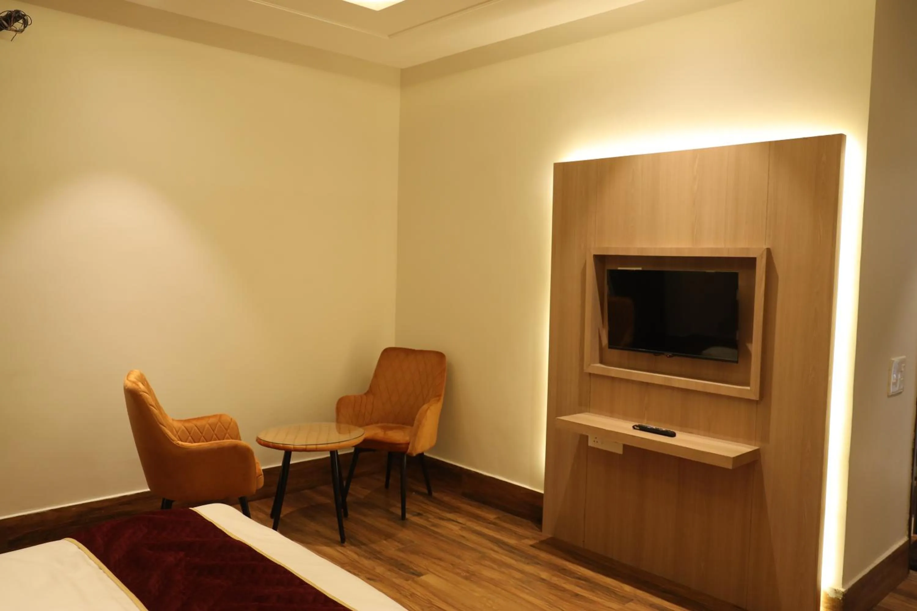 TV and multimedia in Hotel Crown Savoy, Near Railway Station & GURU NANAK DEV UNIVERSITY