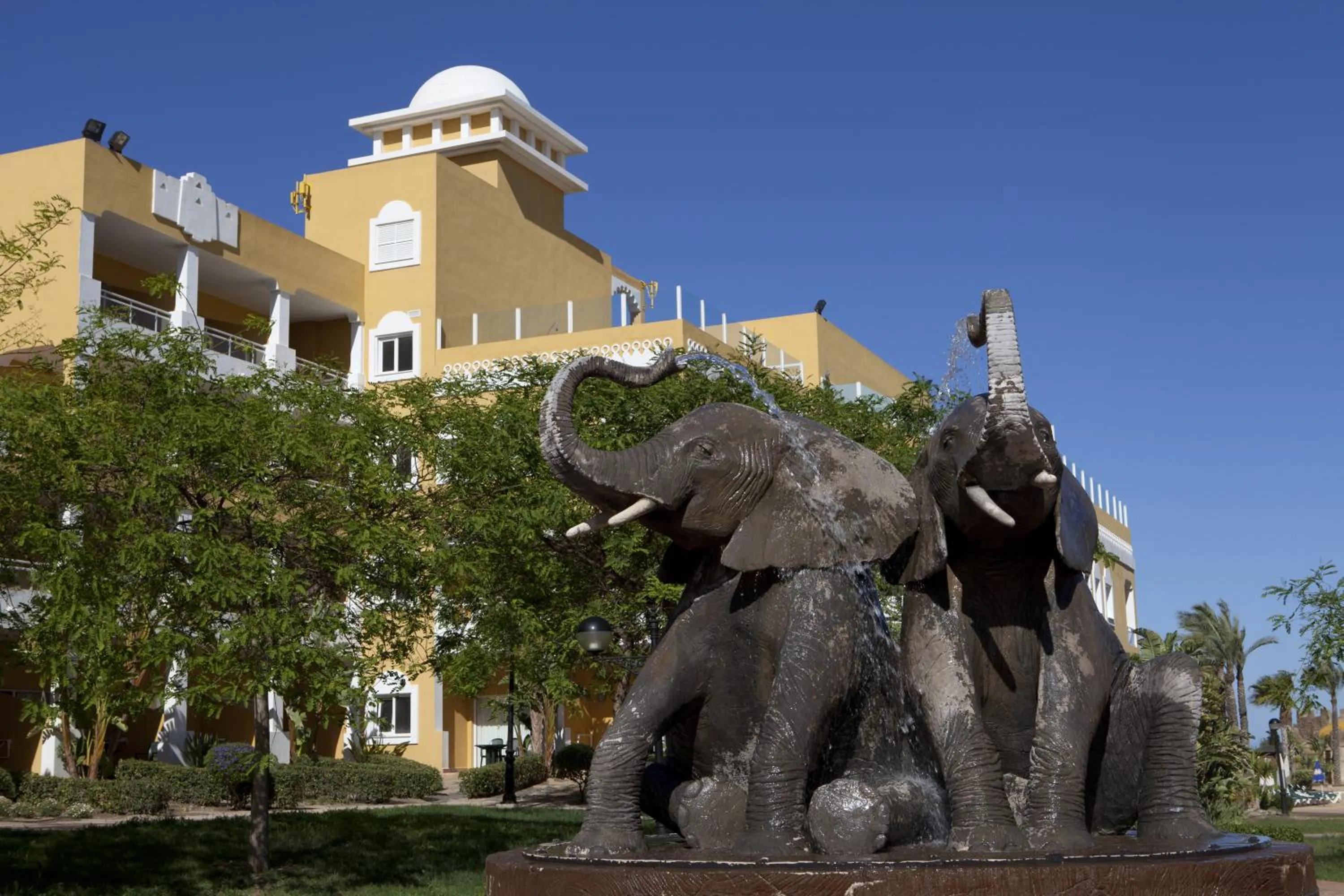 Garden in Playazimbali