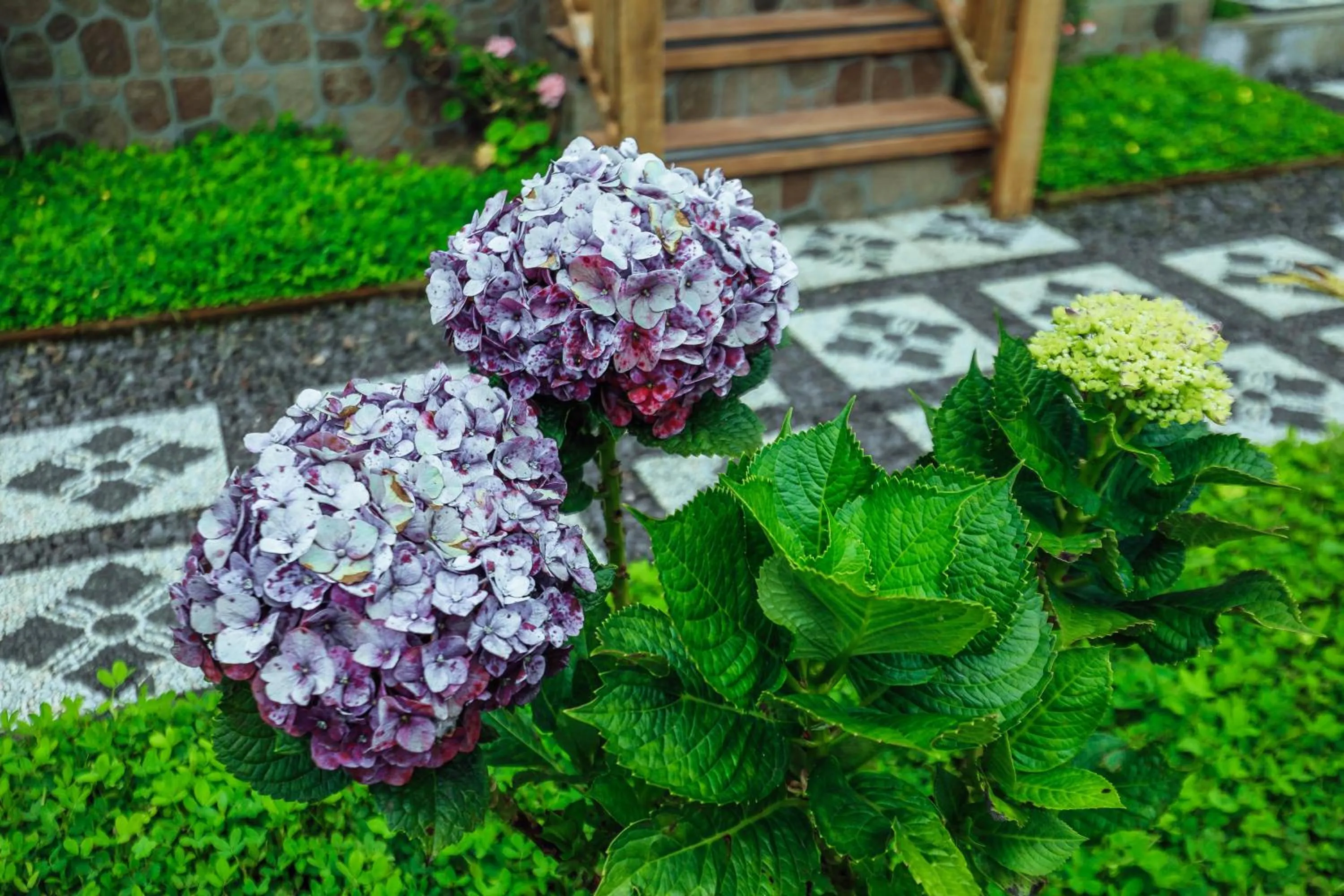 Garden in The Polumb Garden Bedugul